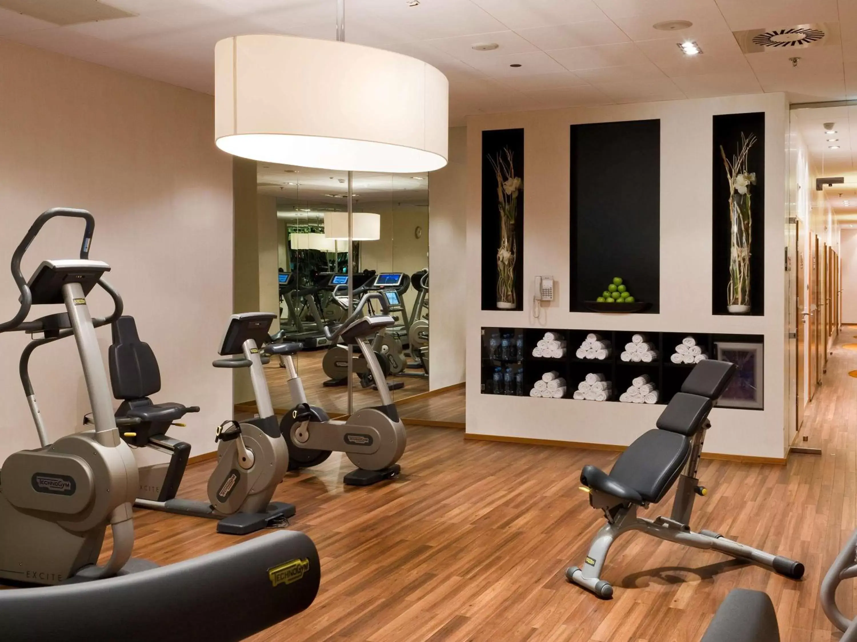 Fitness centre/facilities, Fitness Center/Facilities in Sofitel Warsaw Victoria