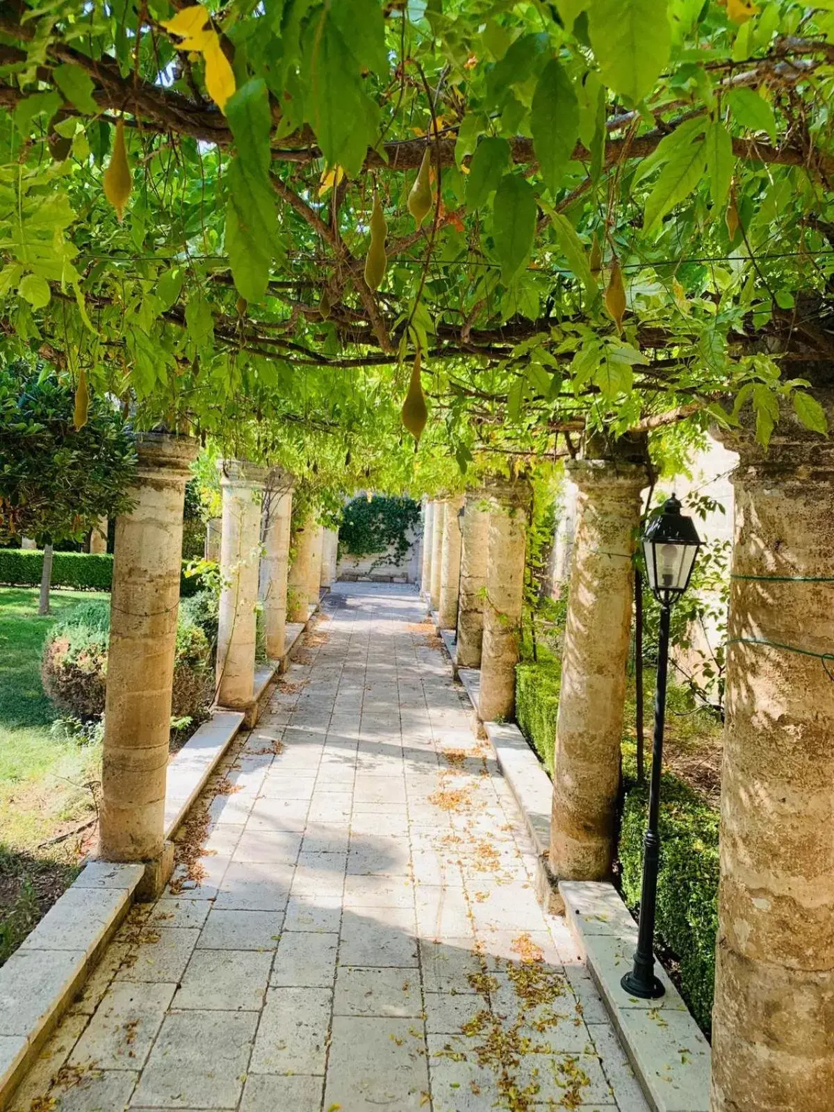 Garden in Sine Tempore B&B