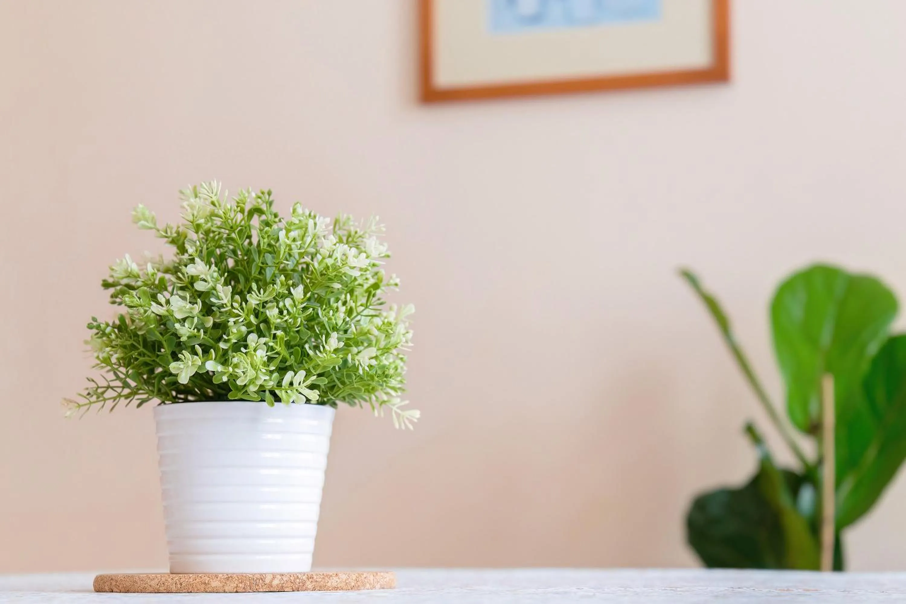 kitchen in Sibelius Apartments