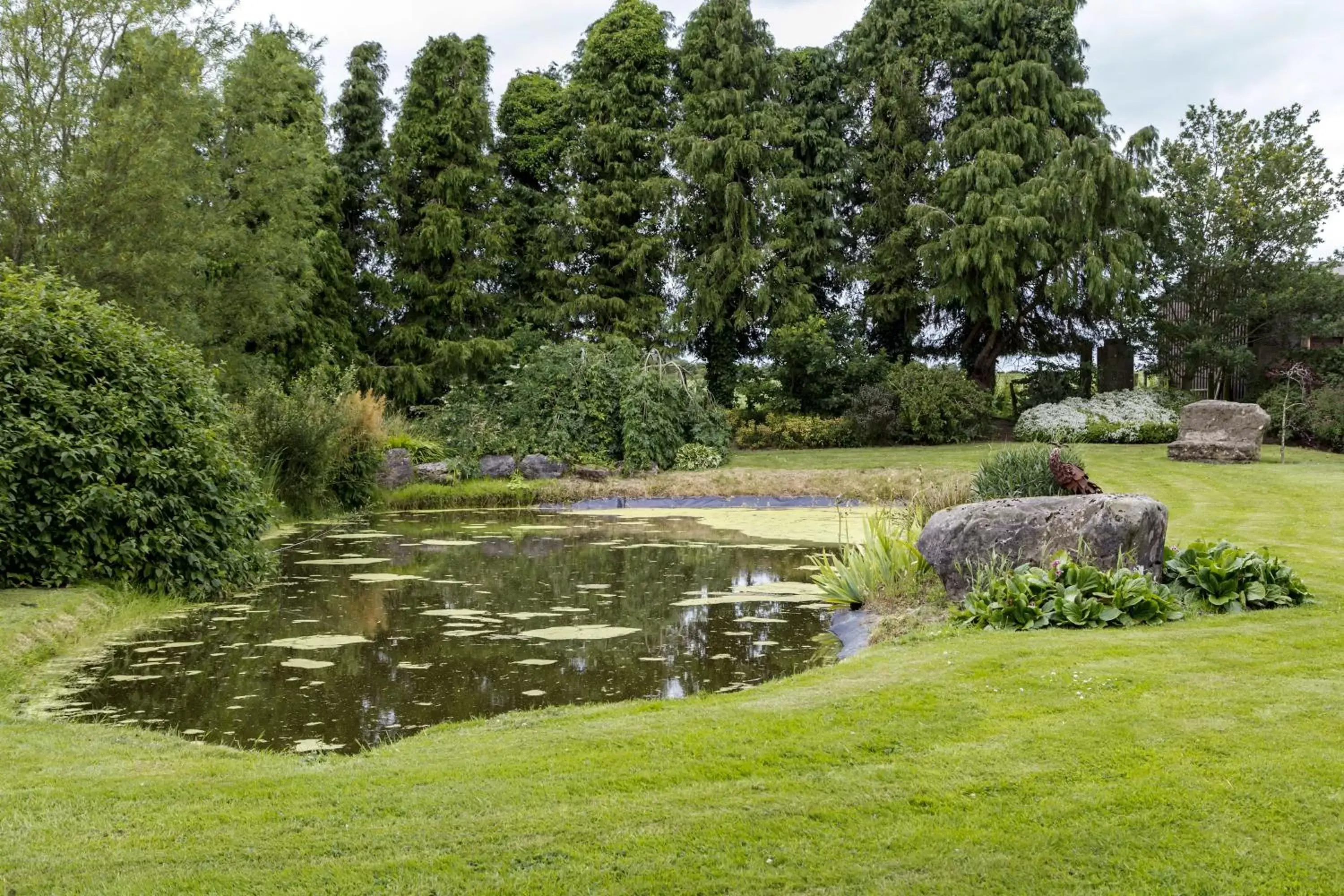 Garden in College Hill House