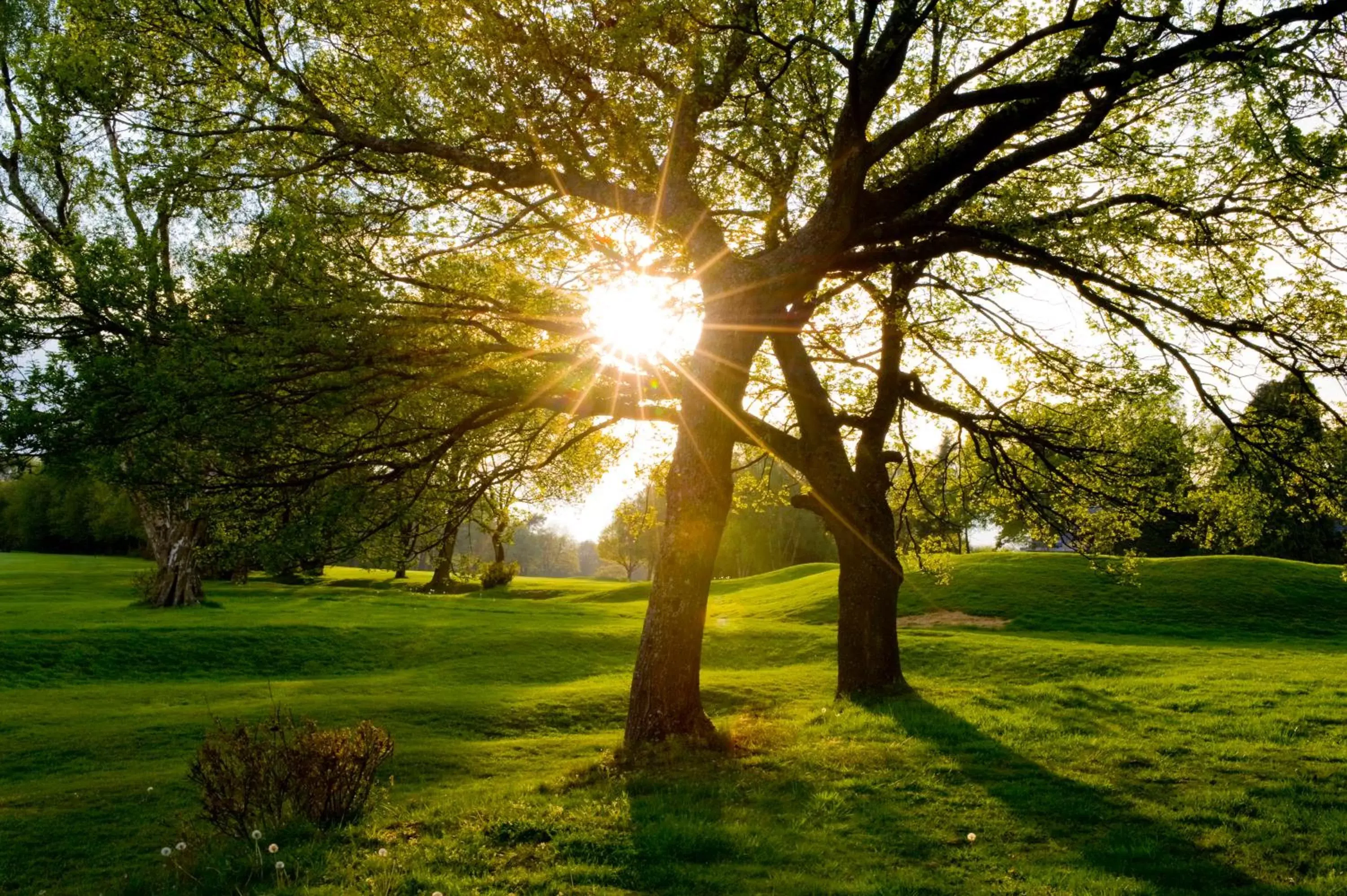 Golfcourse, Garden in The Lodge at Kingswood