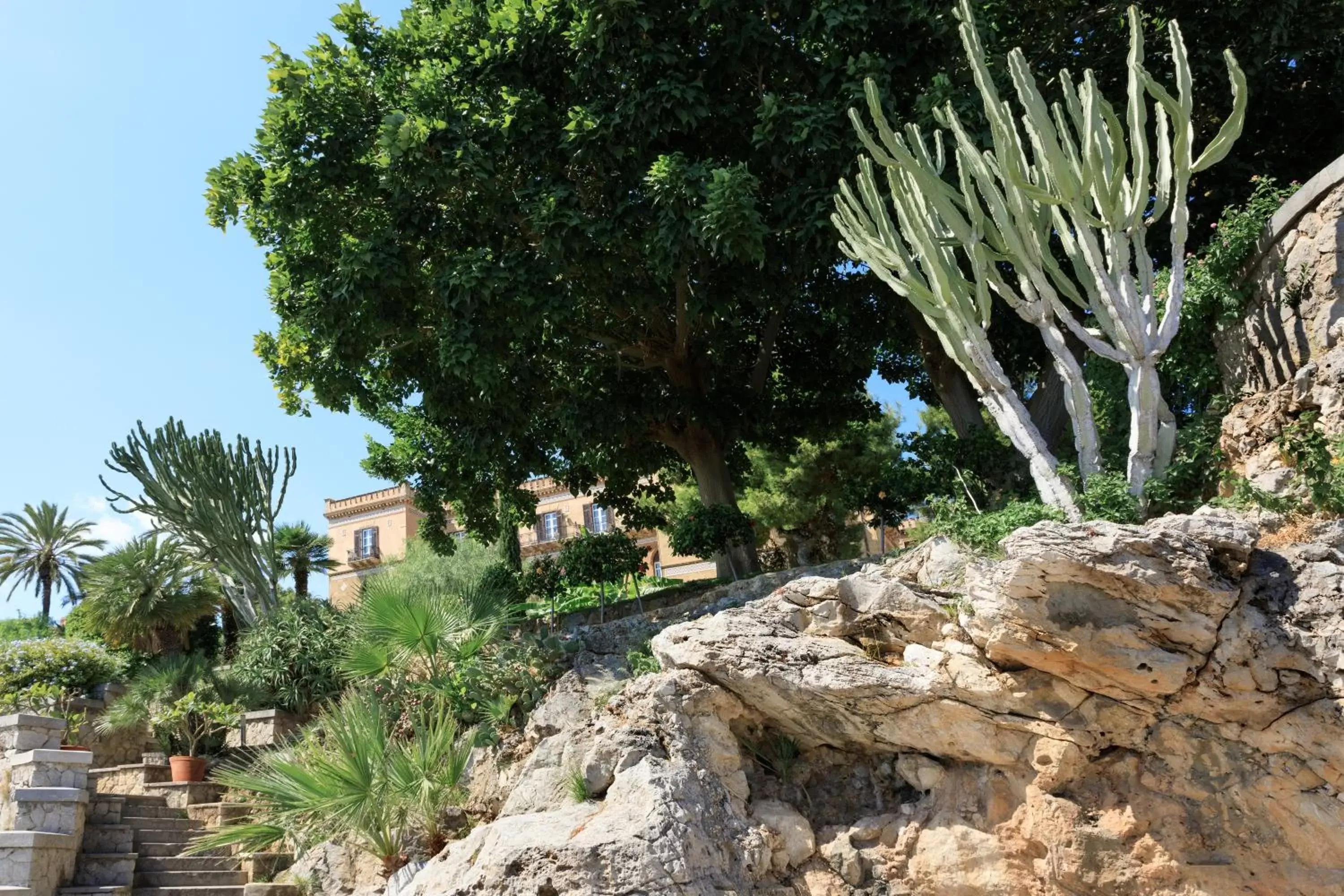 Natural landscape in Rocco Forte Villa Igiea