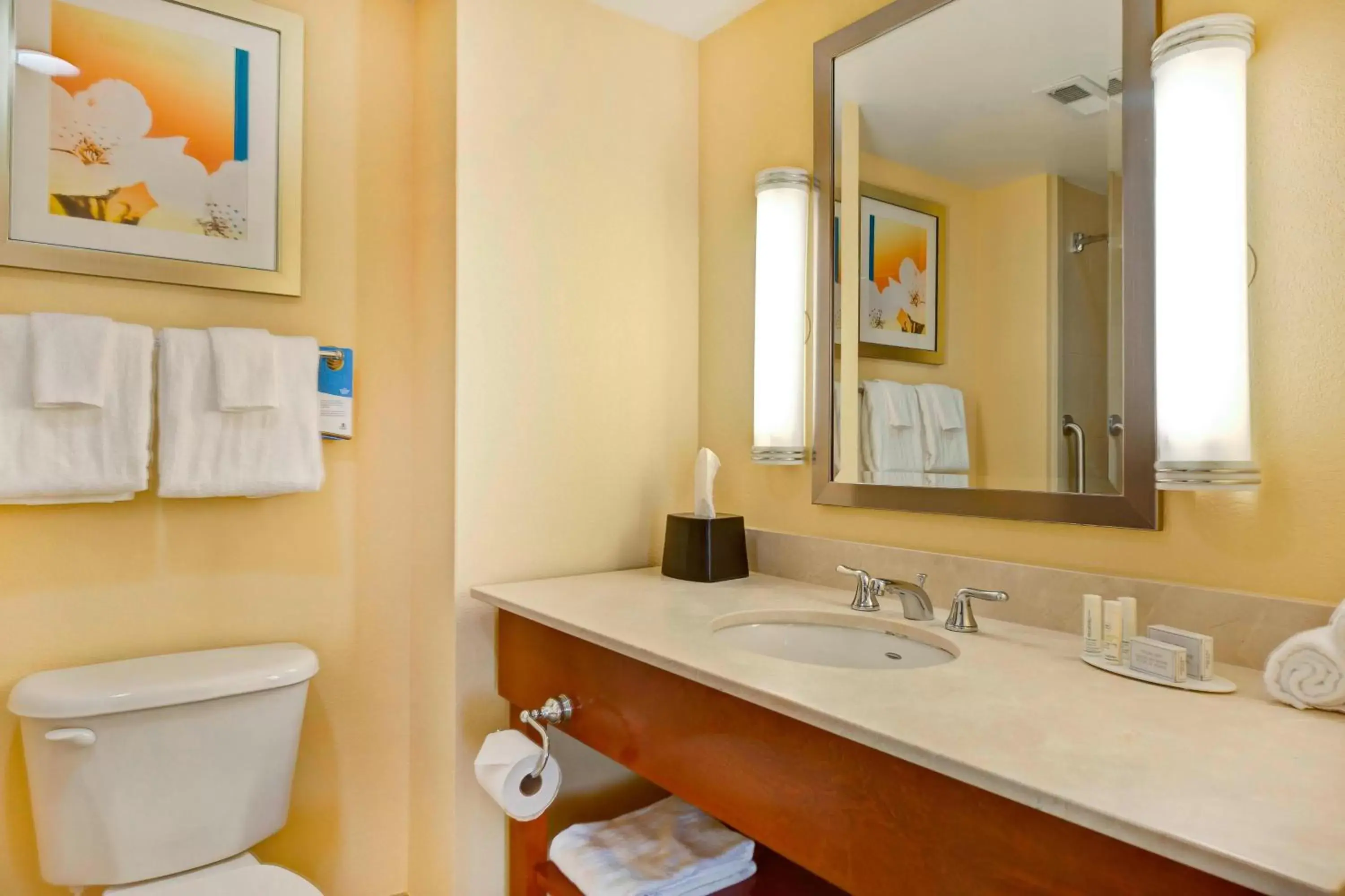 Bathroom in Fairfield Inn and Suites by Marriott Durham Southpoint