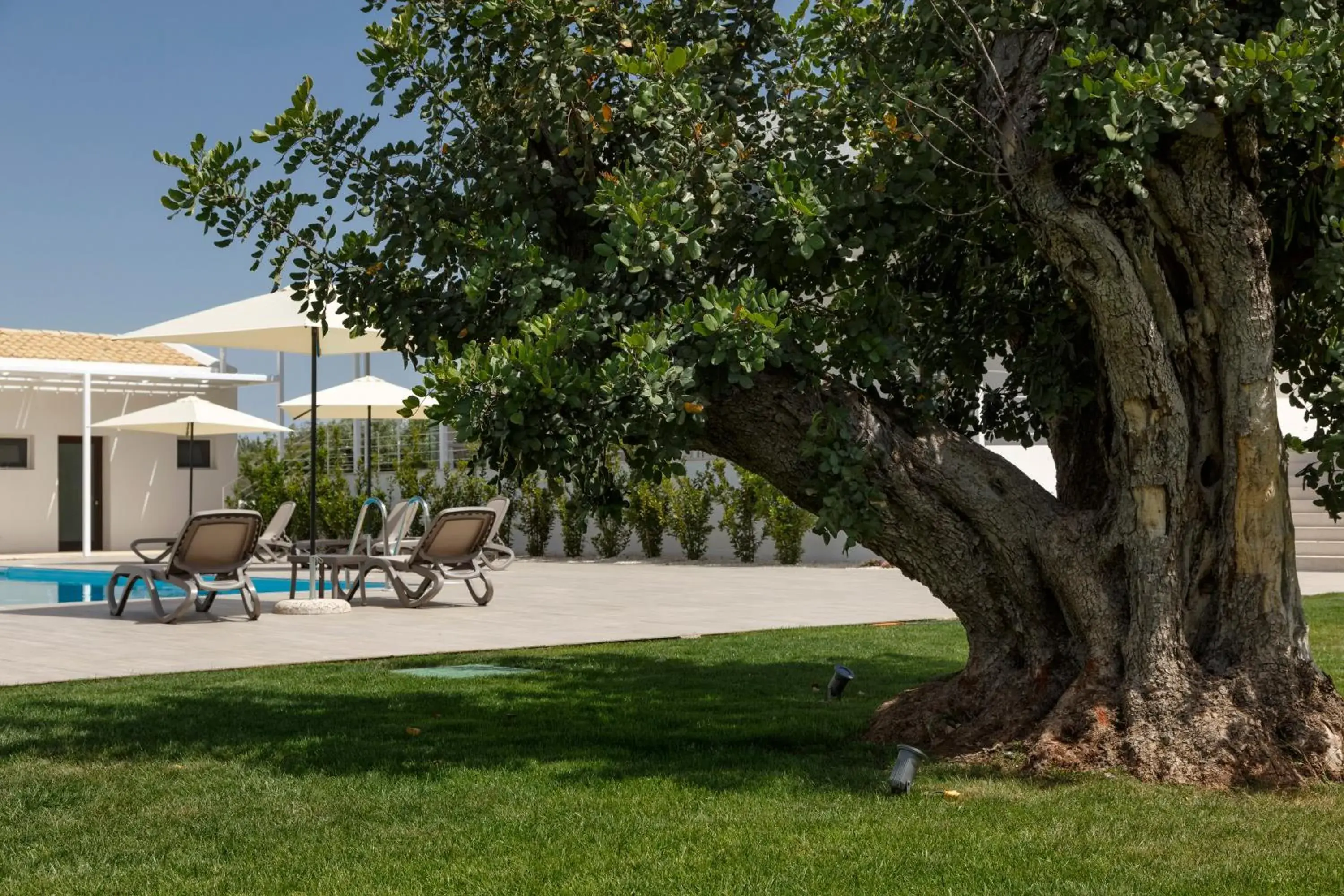 Garden in Southeast Hotel