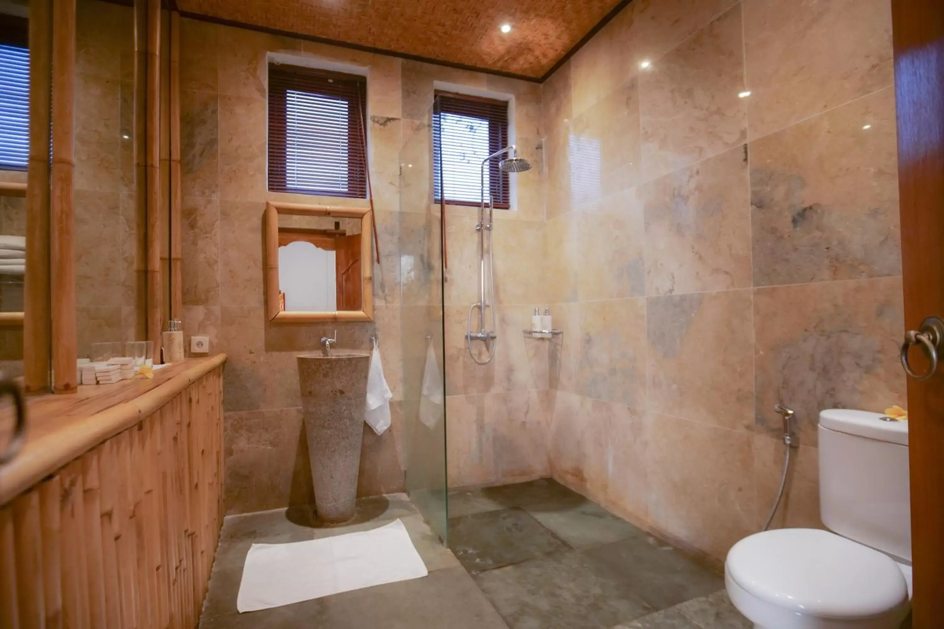 Shower, Bathroom in Gayatri