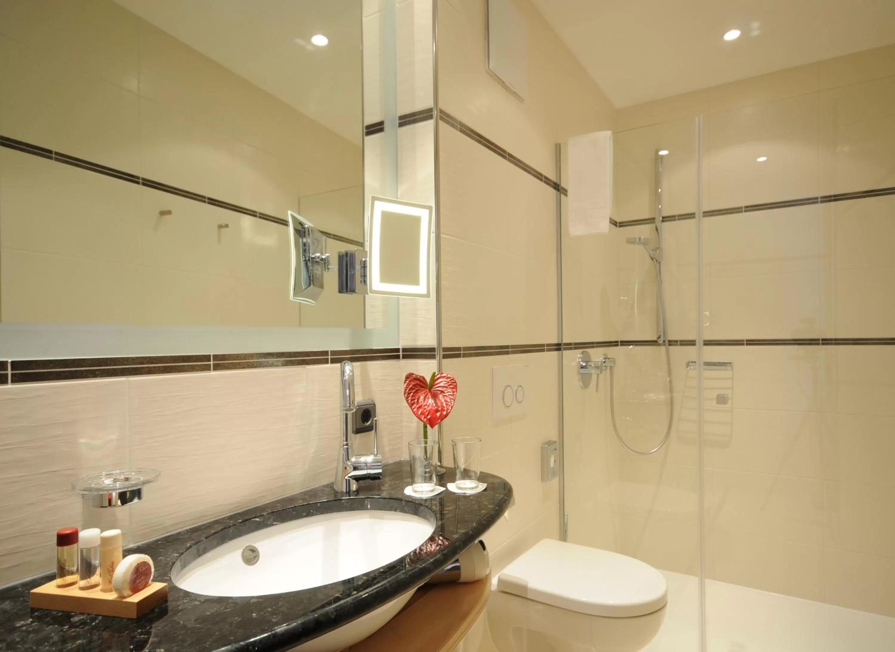 Bathroom in Hotel Torbräu