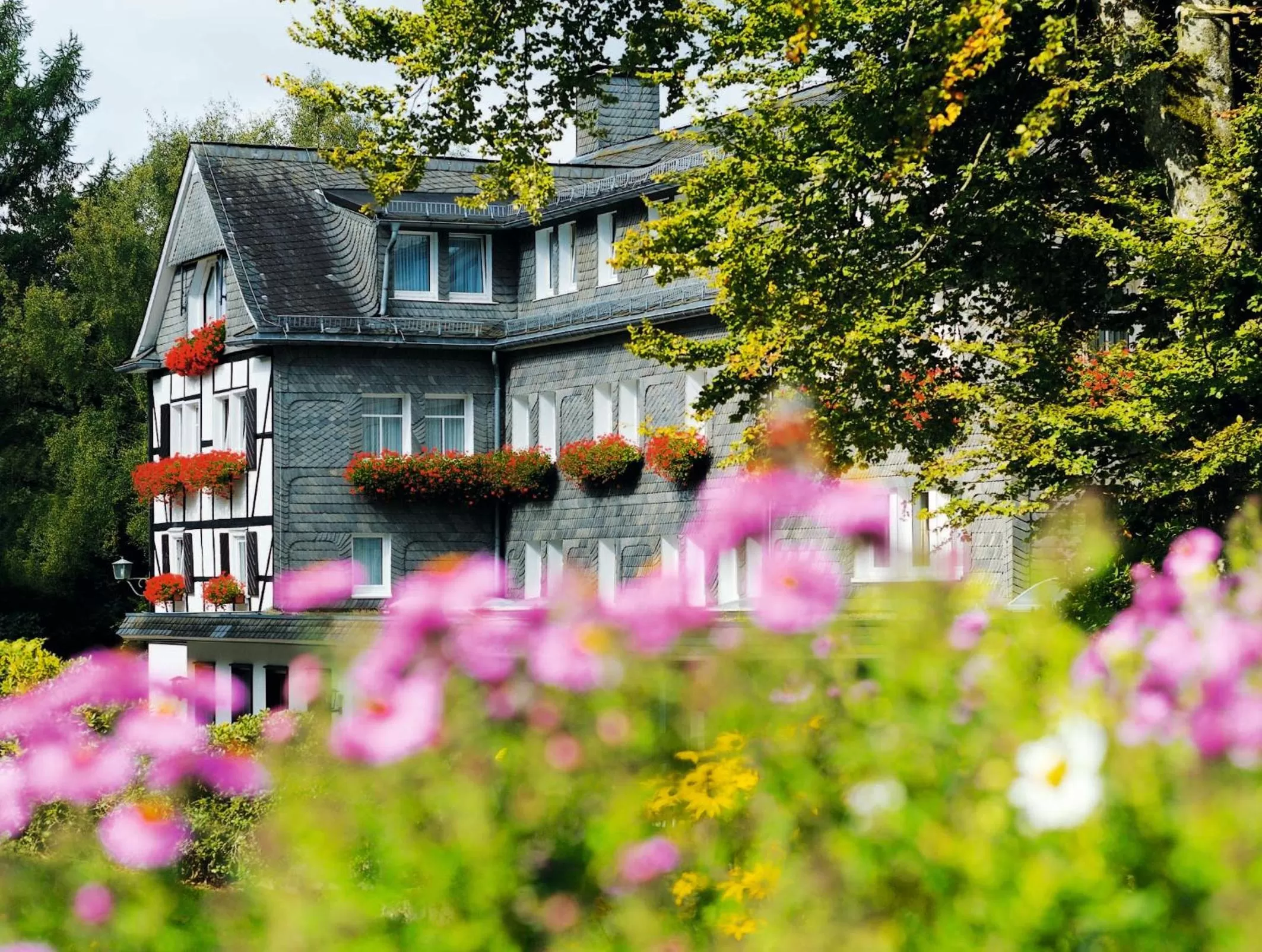 Facade/entrance in Hotel Jagdhaus Wiese