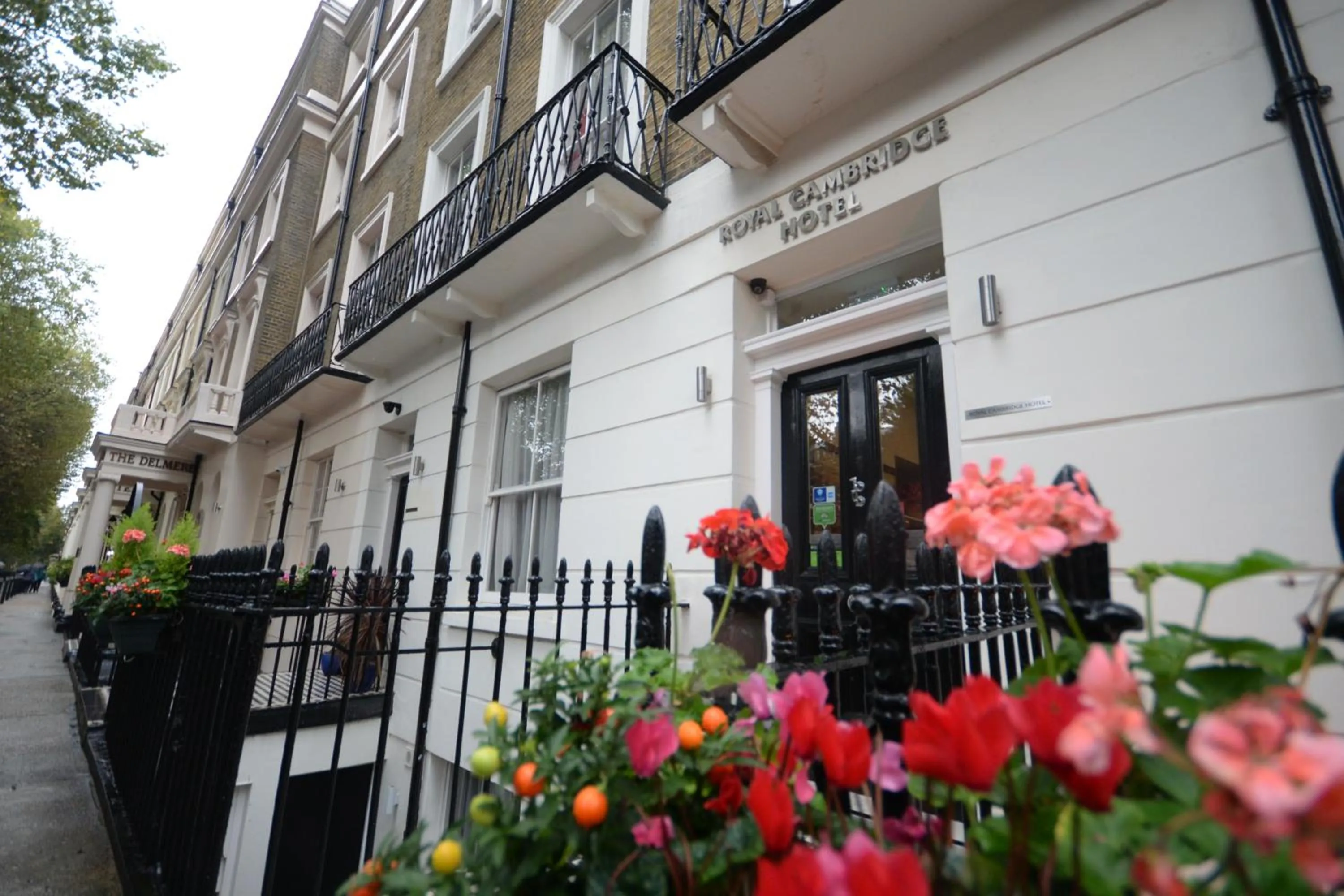 Facade/entrance in Royal Cambridge Hotel