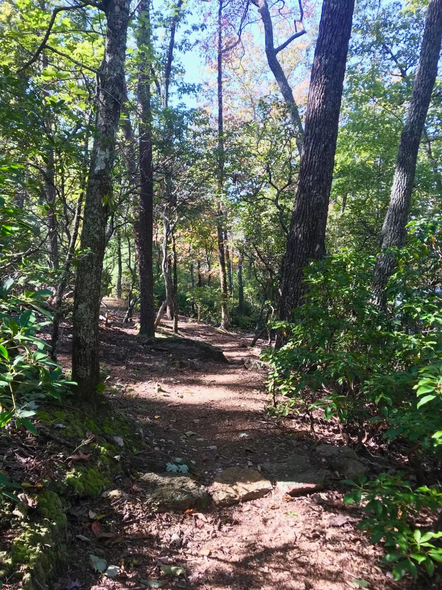 Natural landscape, Garden in Barefoot Hills