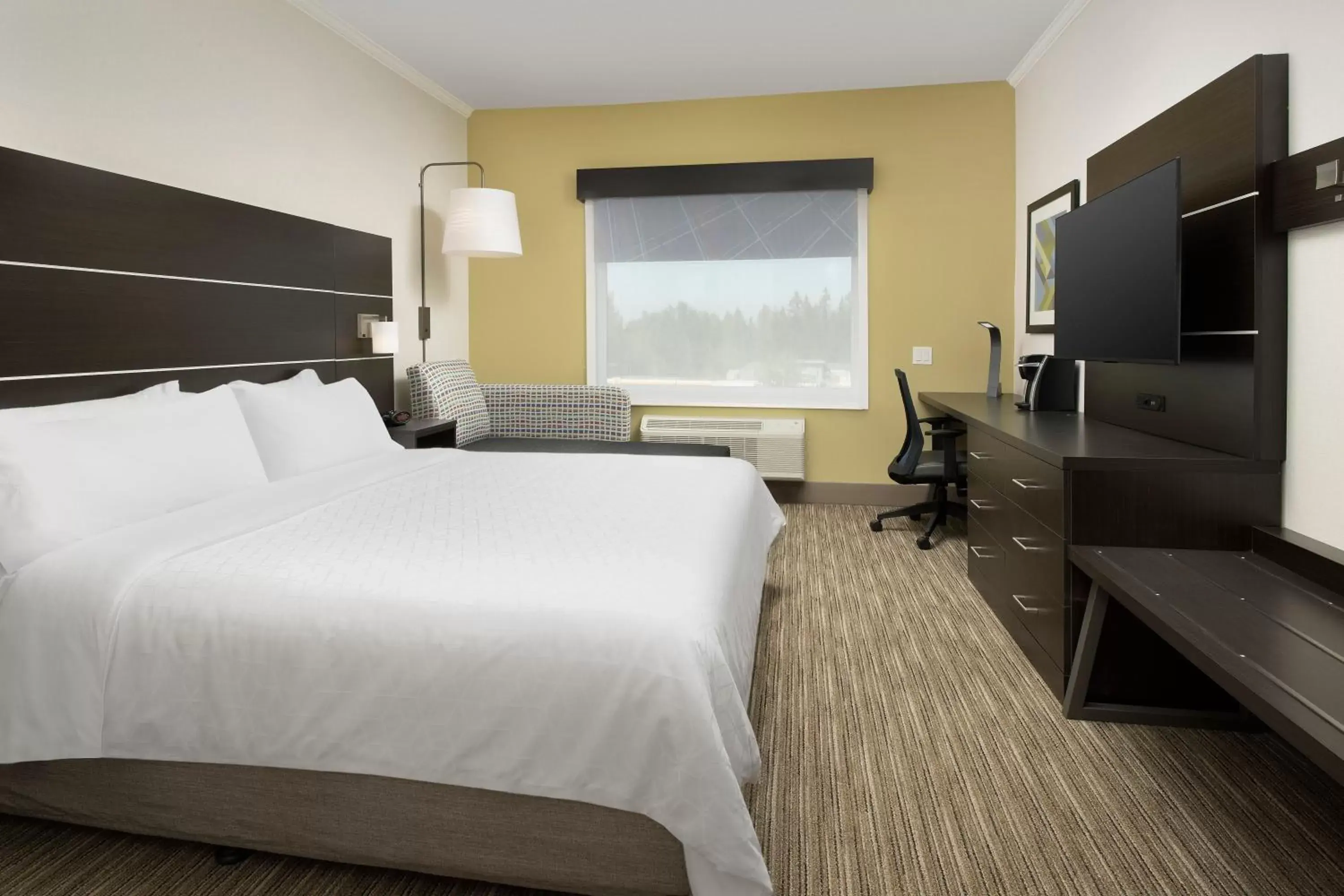 Photo of the whole room, Room Photo in Holiday Inn Express Puyallup, an IHG Hotel