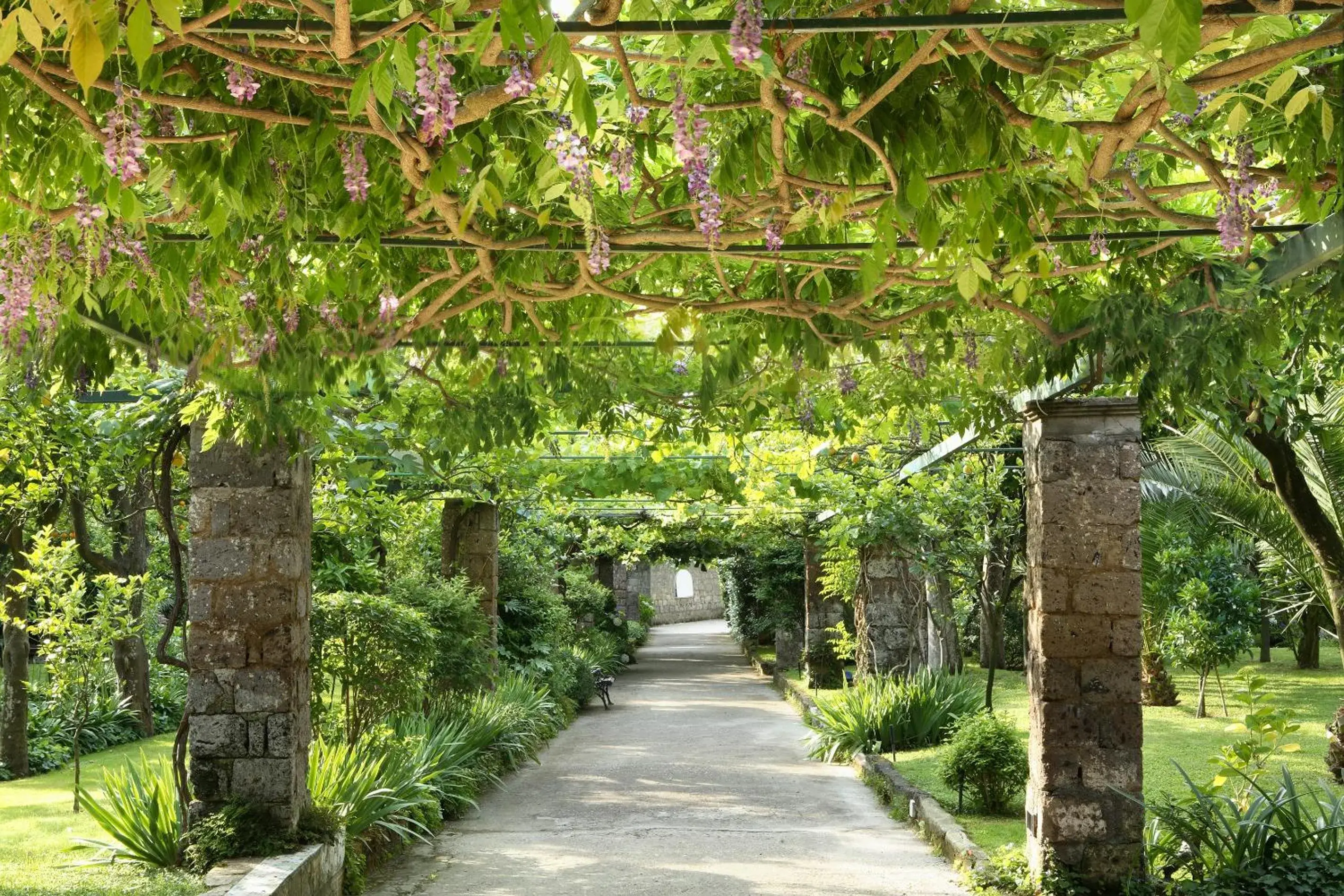 Garden in Grand Hotel Cocumella