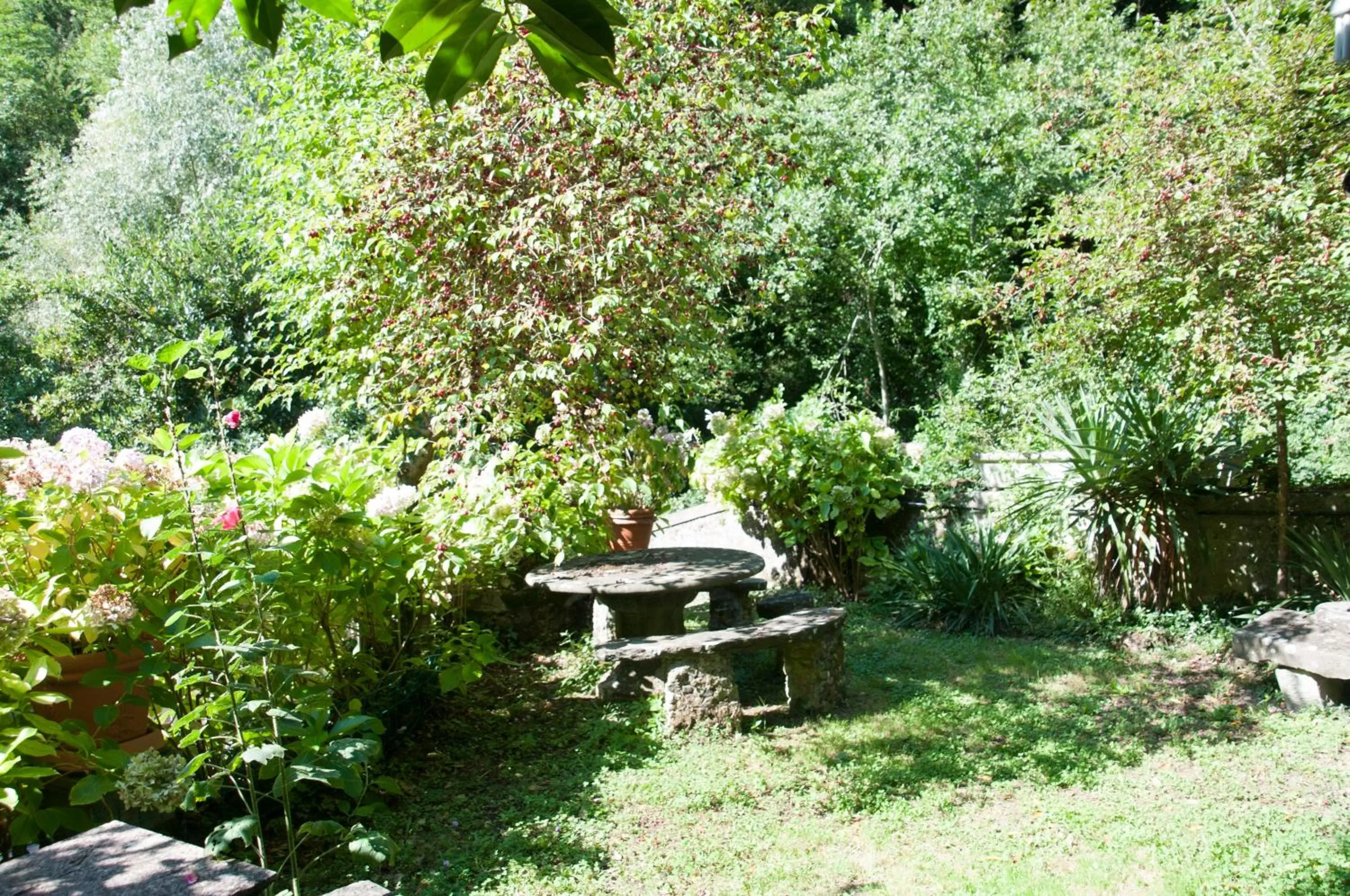 Time of day in Tre Fiumi