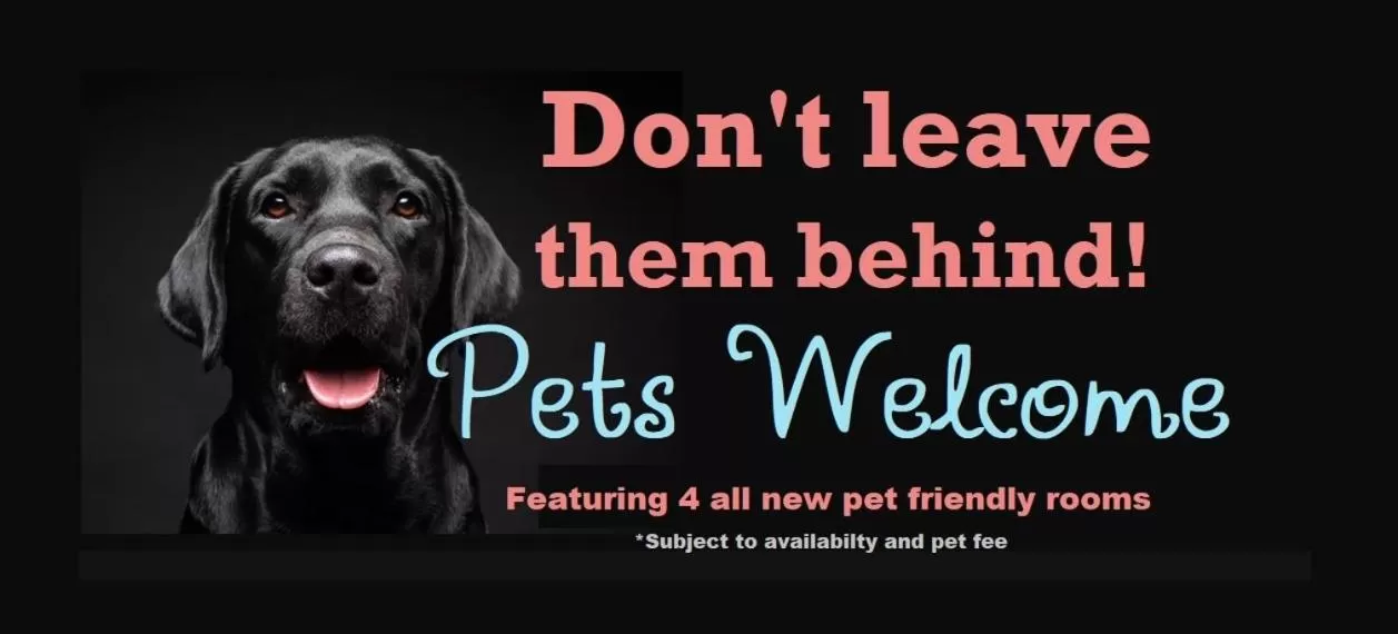 Pets in Stars Inn - Motel