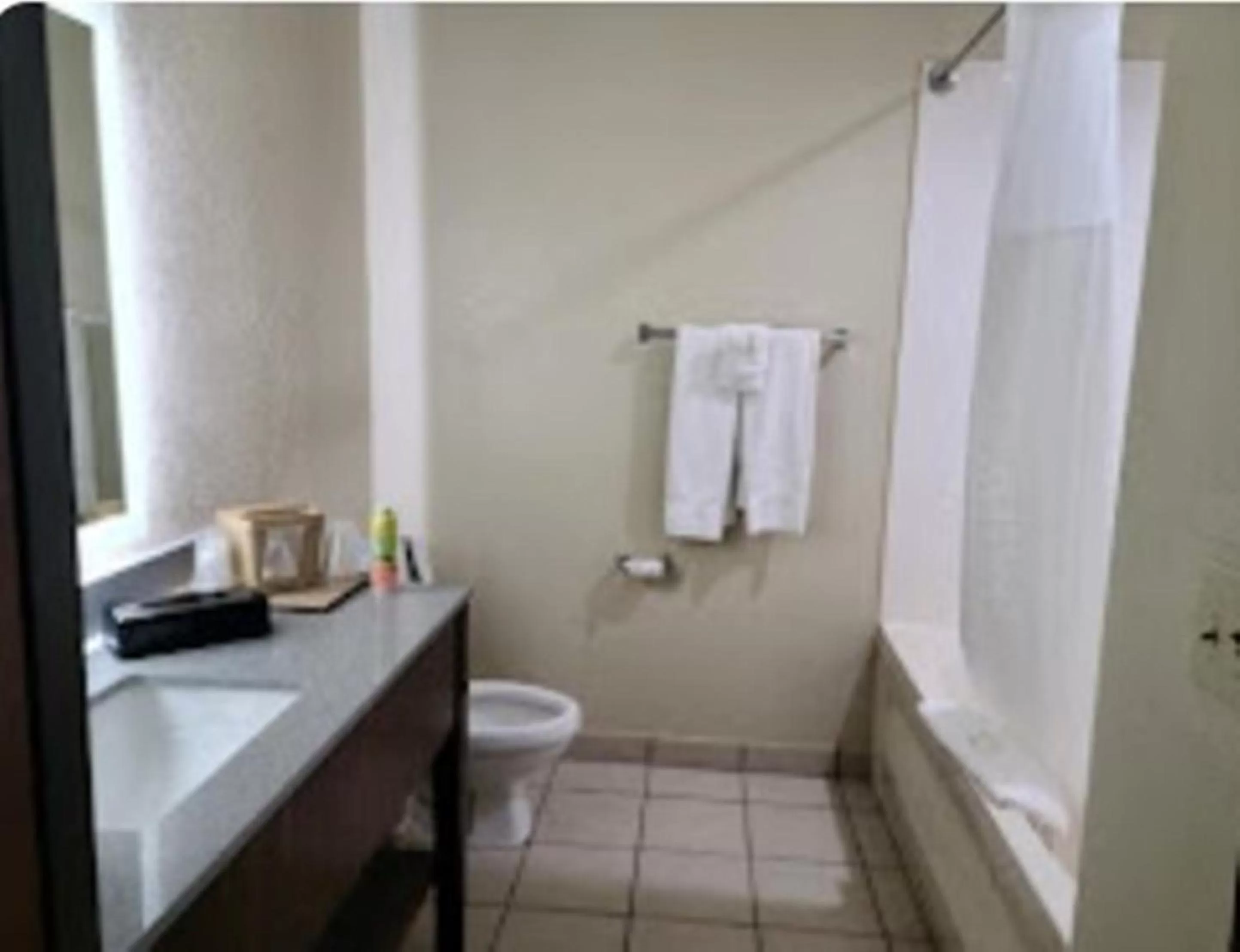 Bathroom in Quality Inn & Suites Roanoke - Fort Worth North