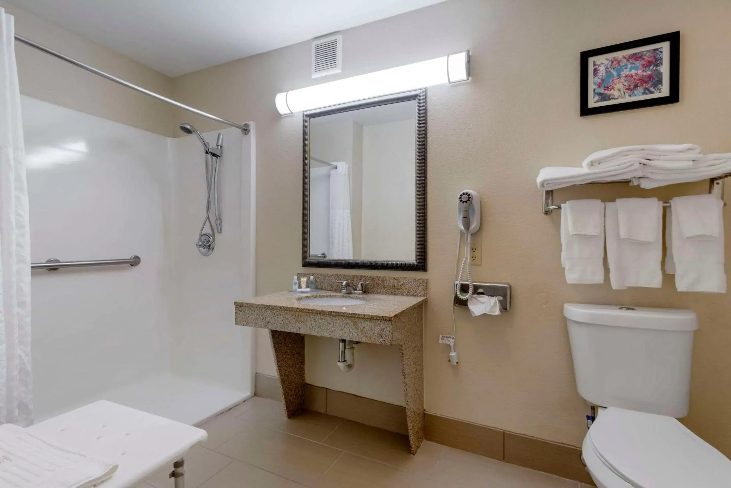 Bedroom, Bathroom in Comfort Suites Columbus State University Area