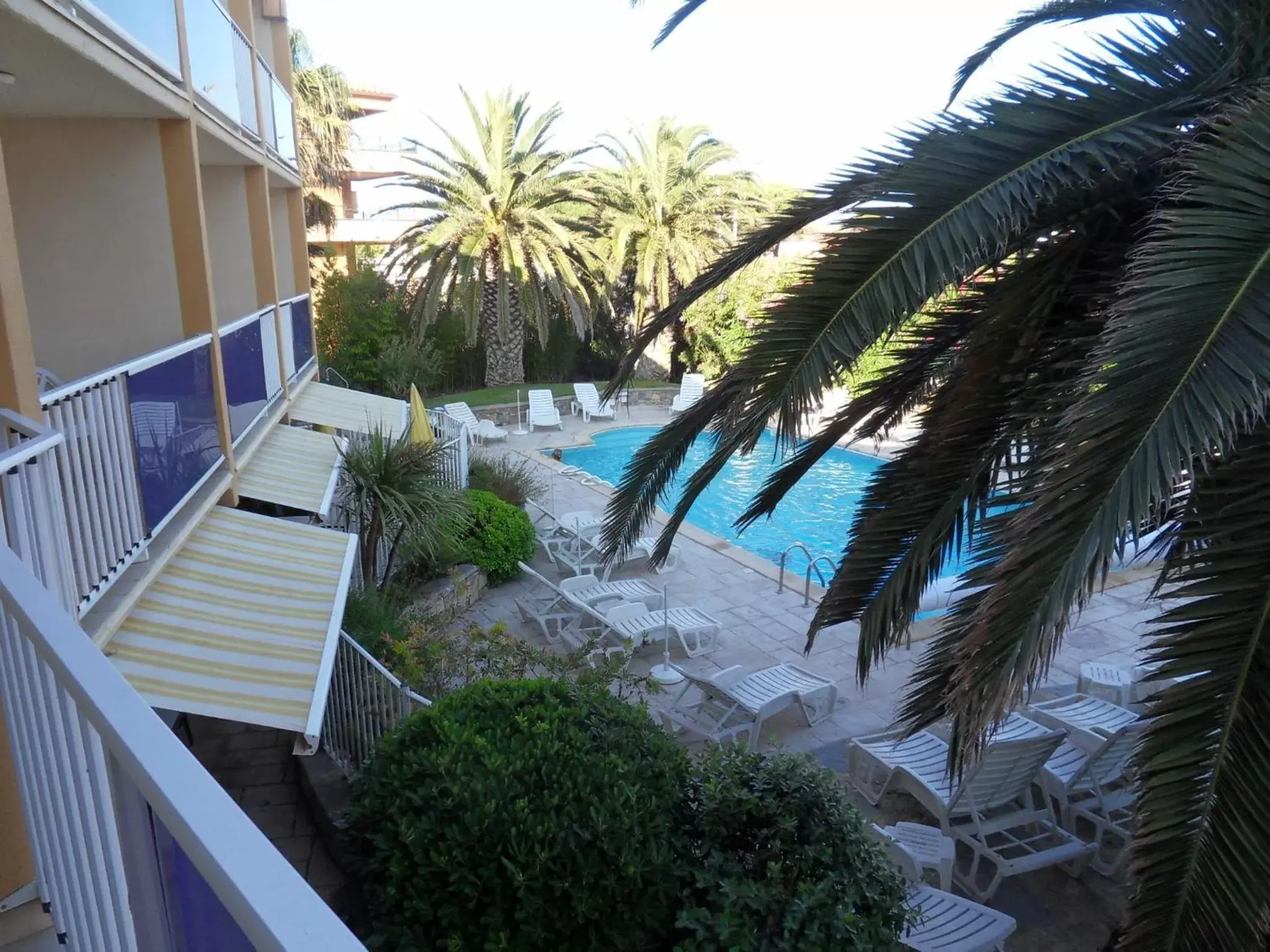 Pool View in Hotel Albizzia