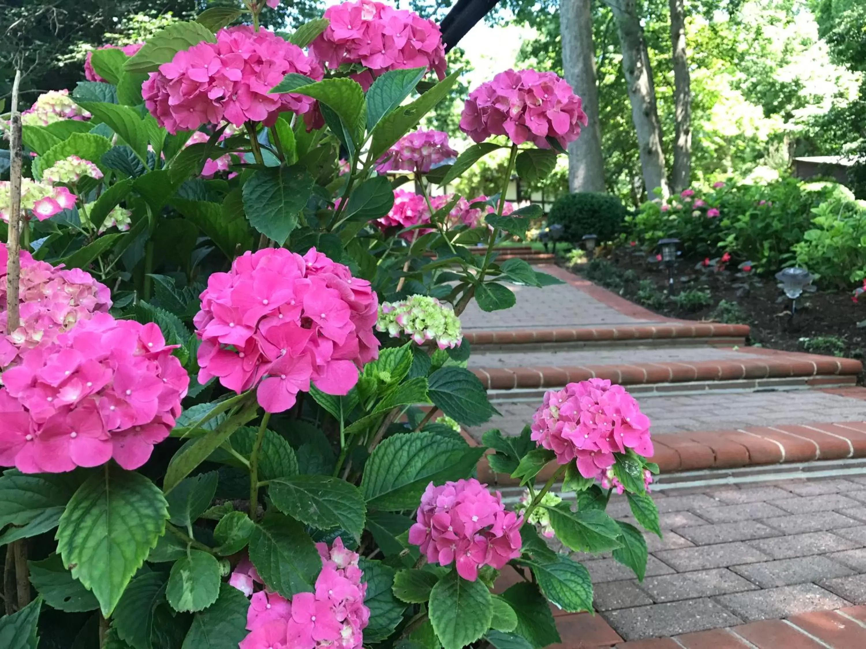 Garden in Gramercy Mansion