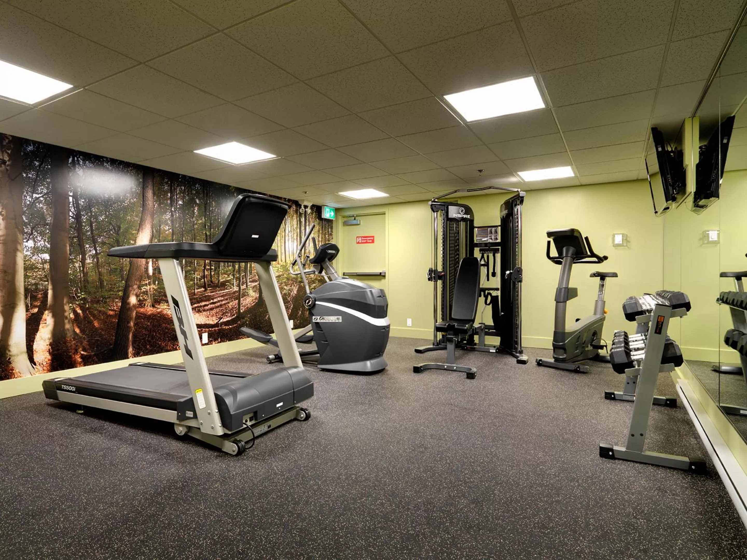 Fitness centre/facilities in Best Western PLUS Inner Harbour Hotel