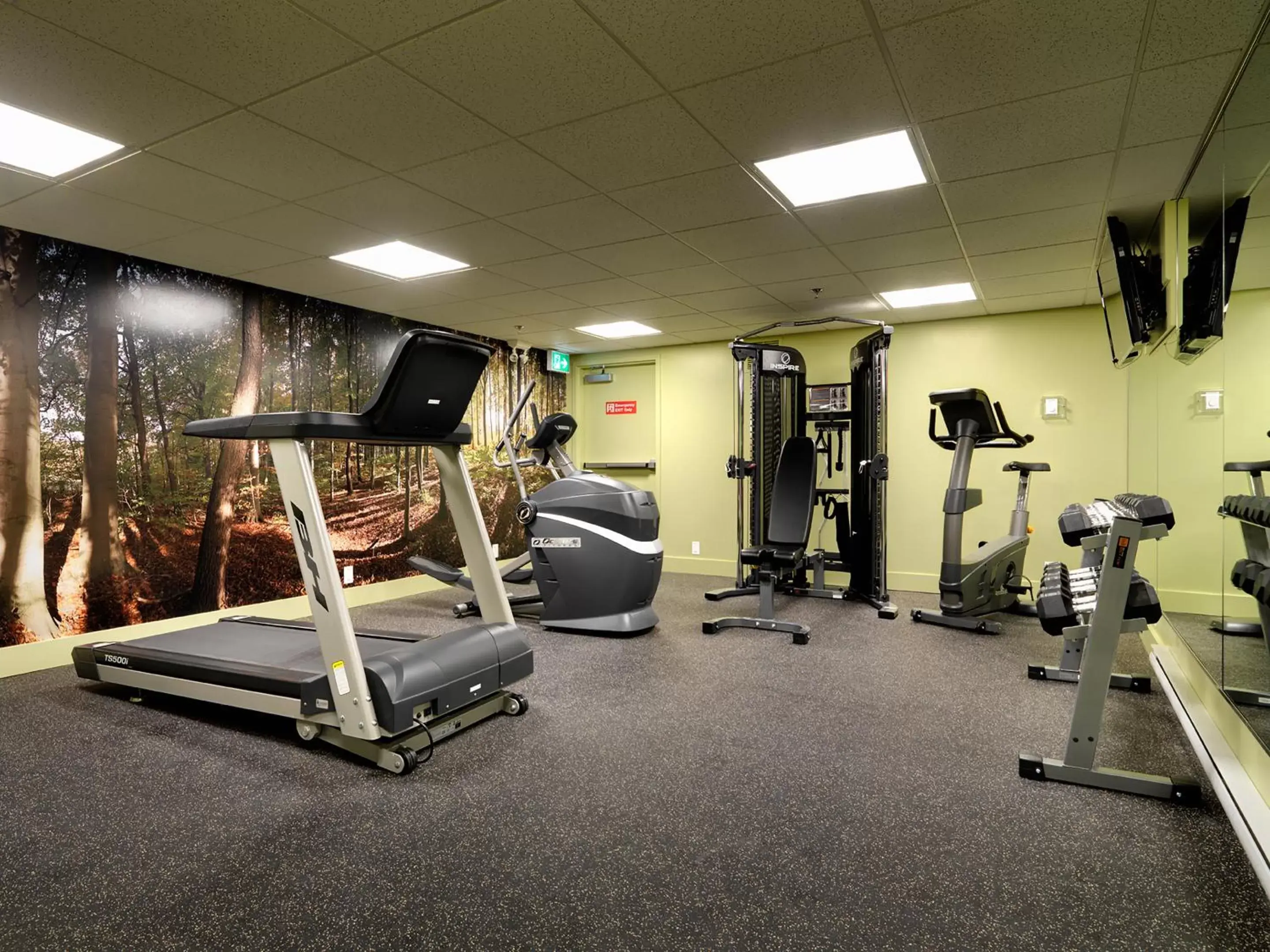 Fitness centre/facilities, Fitness Center/Facilities in Best Western PLUS Inner Harbour Hotel