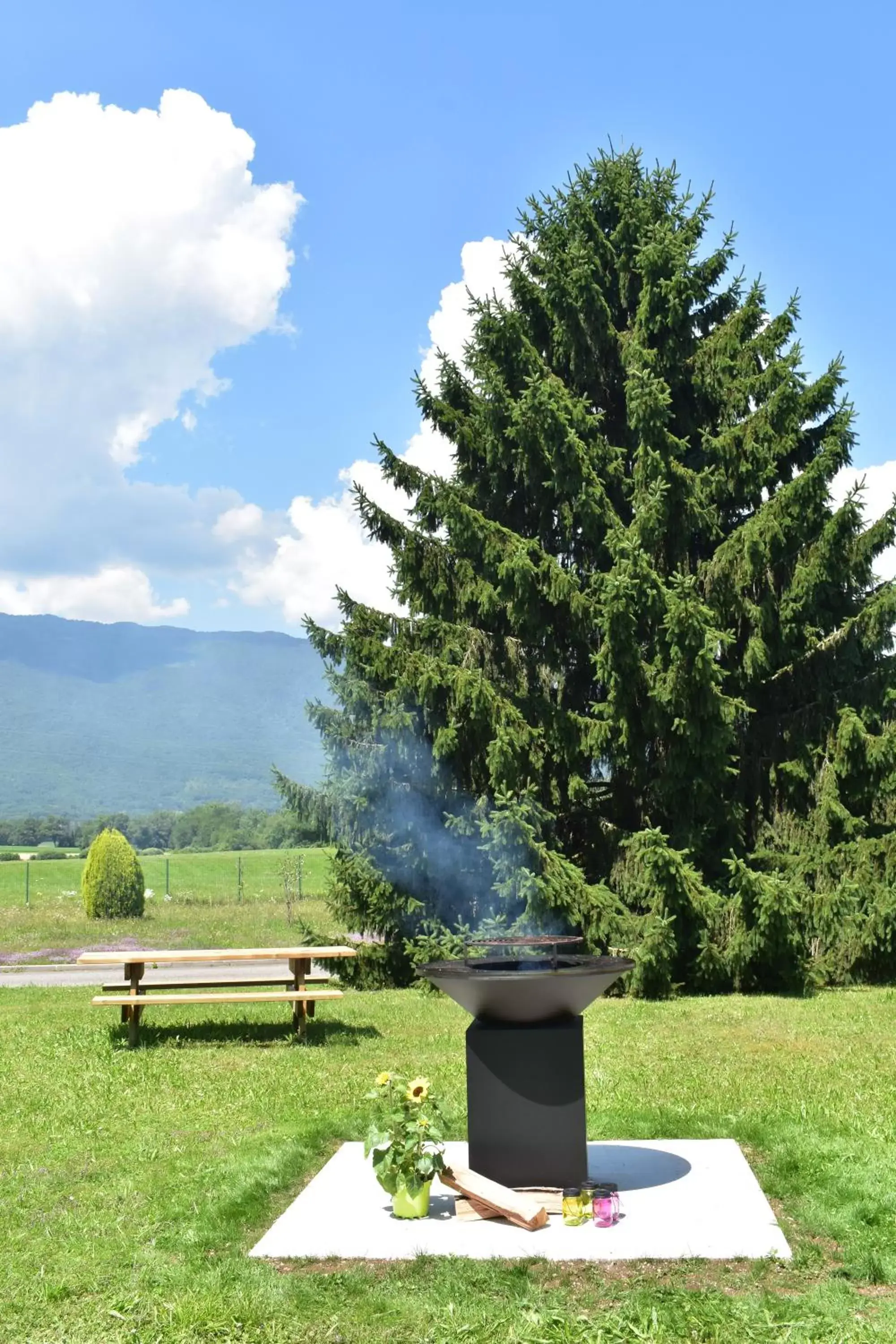 BBQ facilities, Garden in Aparthotel Adagio Geneve Saint Genis Pouilly