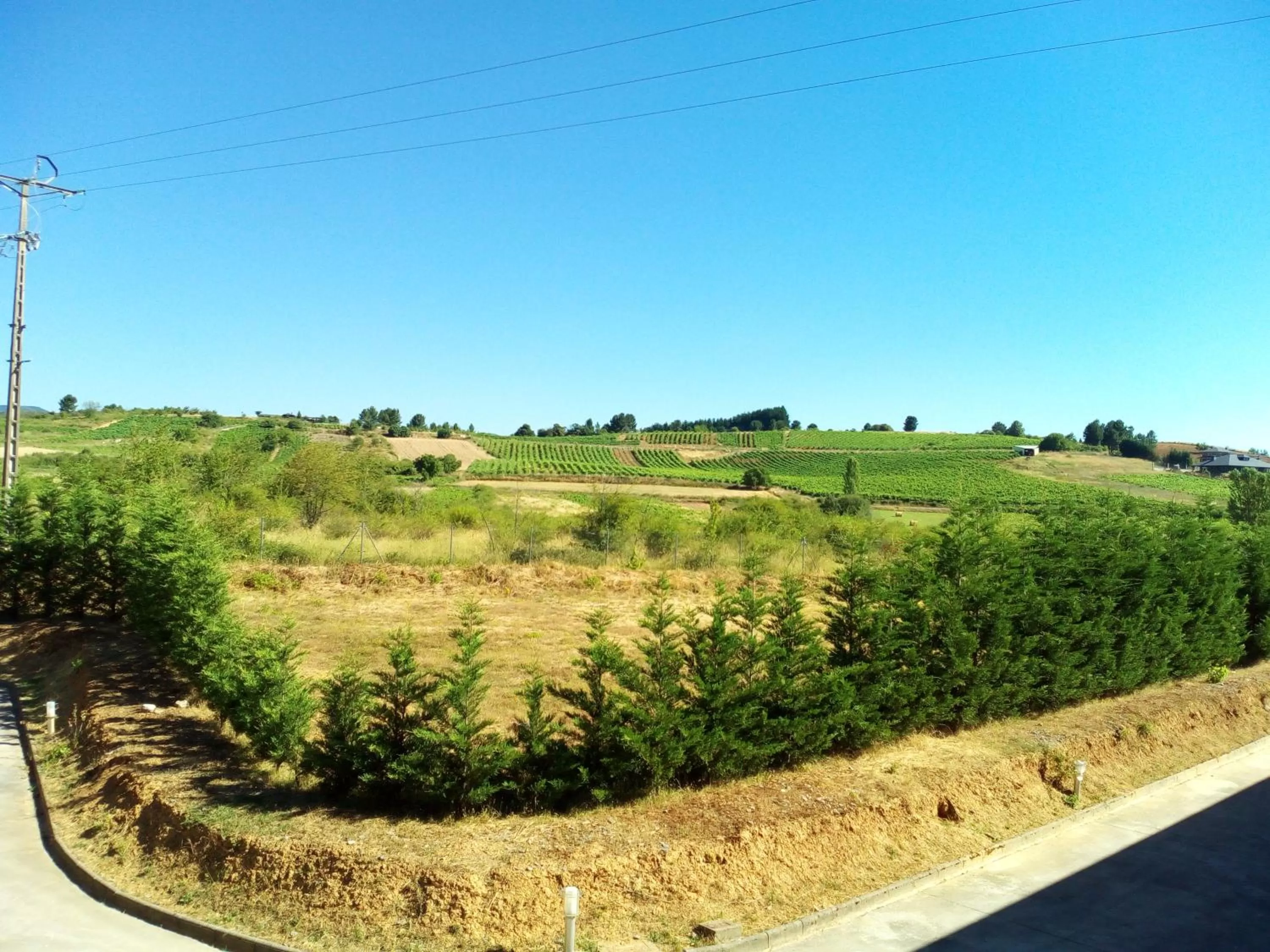 Natural landscape in Motel Acropolis