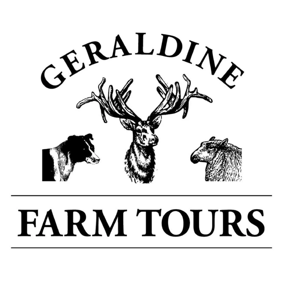 Entertainment in Forest Manor