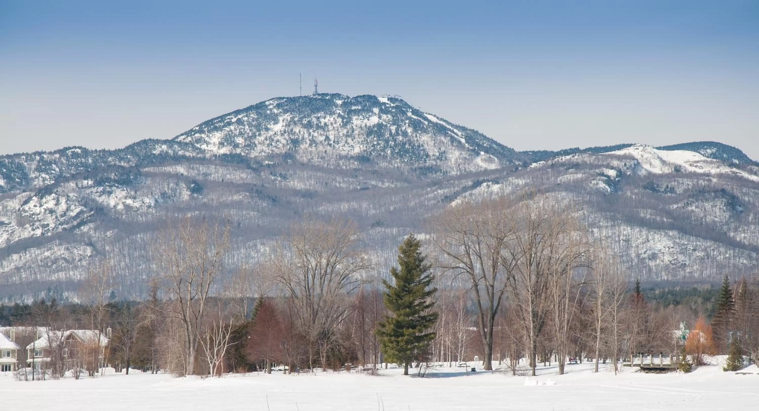 Property building, Winter in À Amour et Amitié