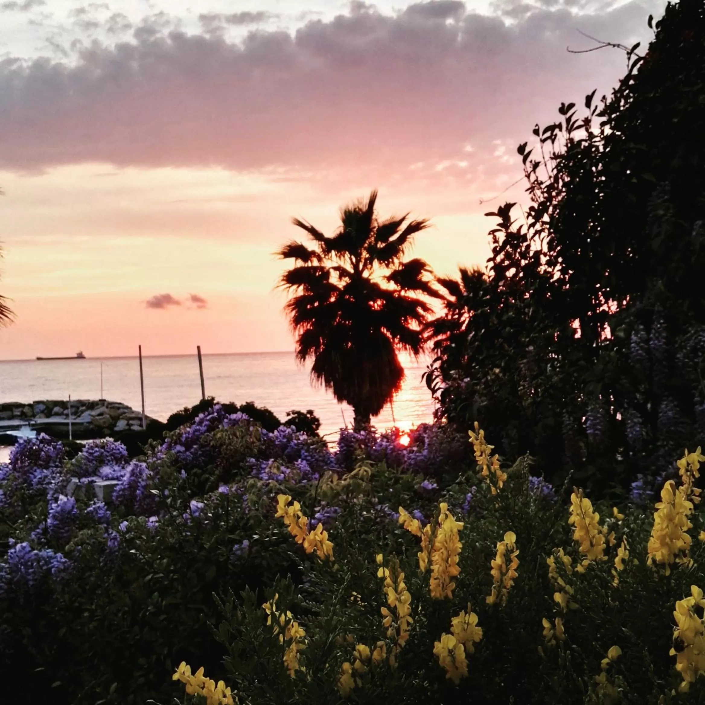 Day in Maison De Revel