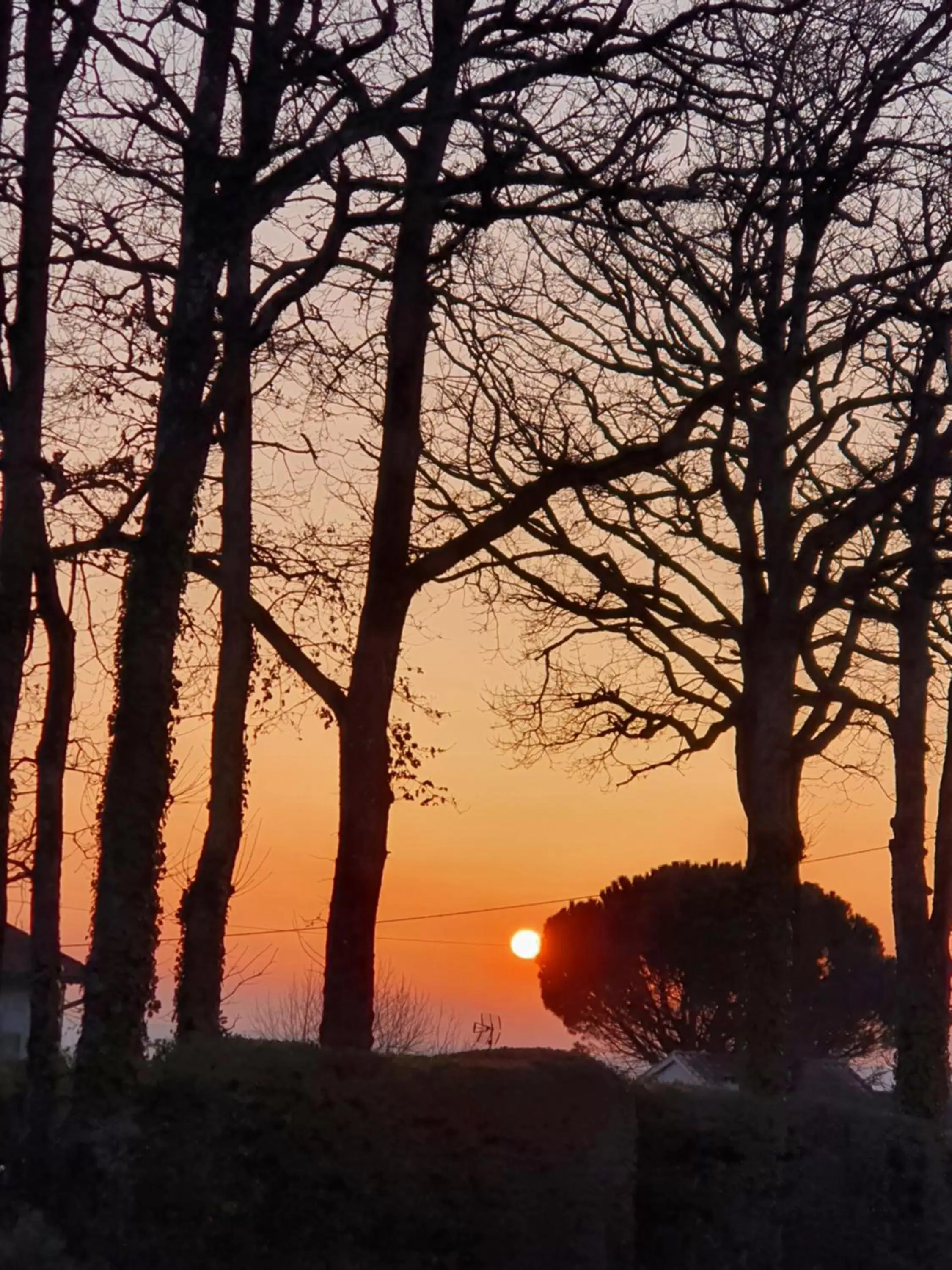 Sunset, Sunrise/Sunset in A l'Ecole Buissonnière