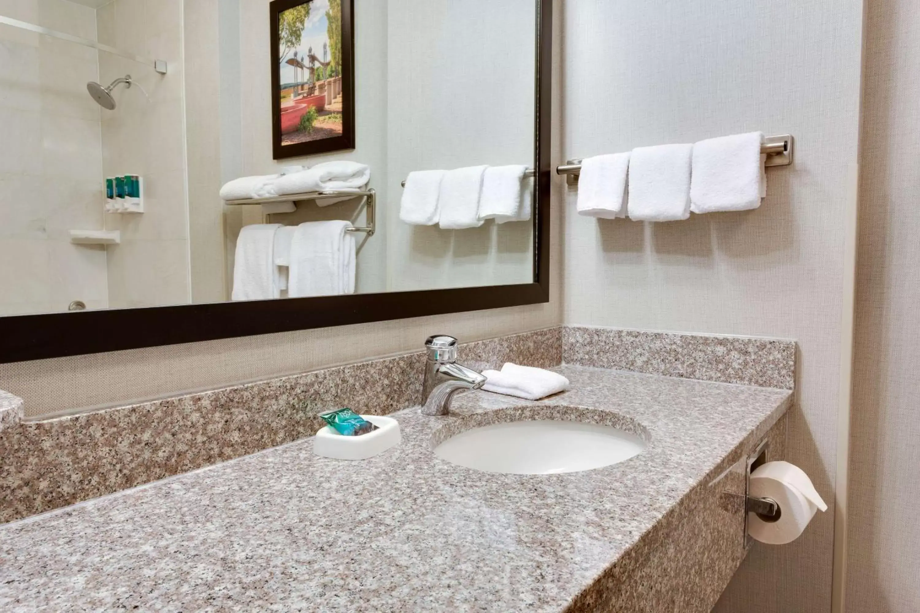 Bathroom in Drury Inn & Suites Middletown Franklin