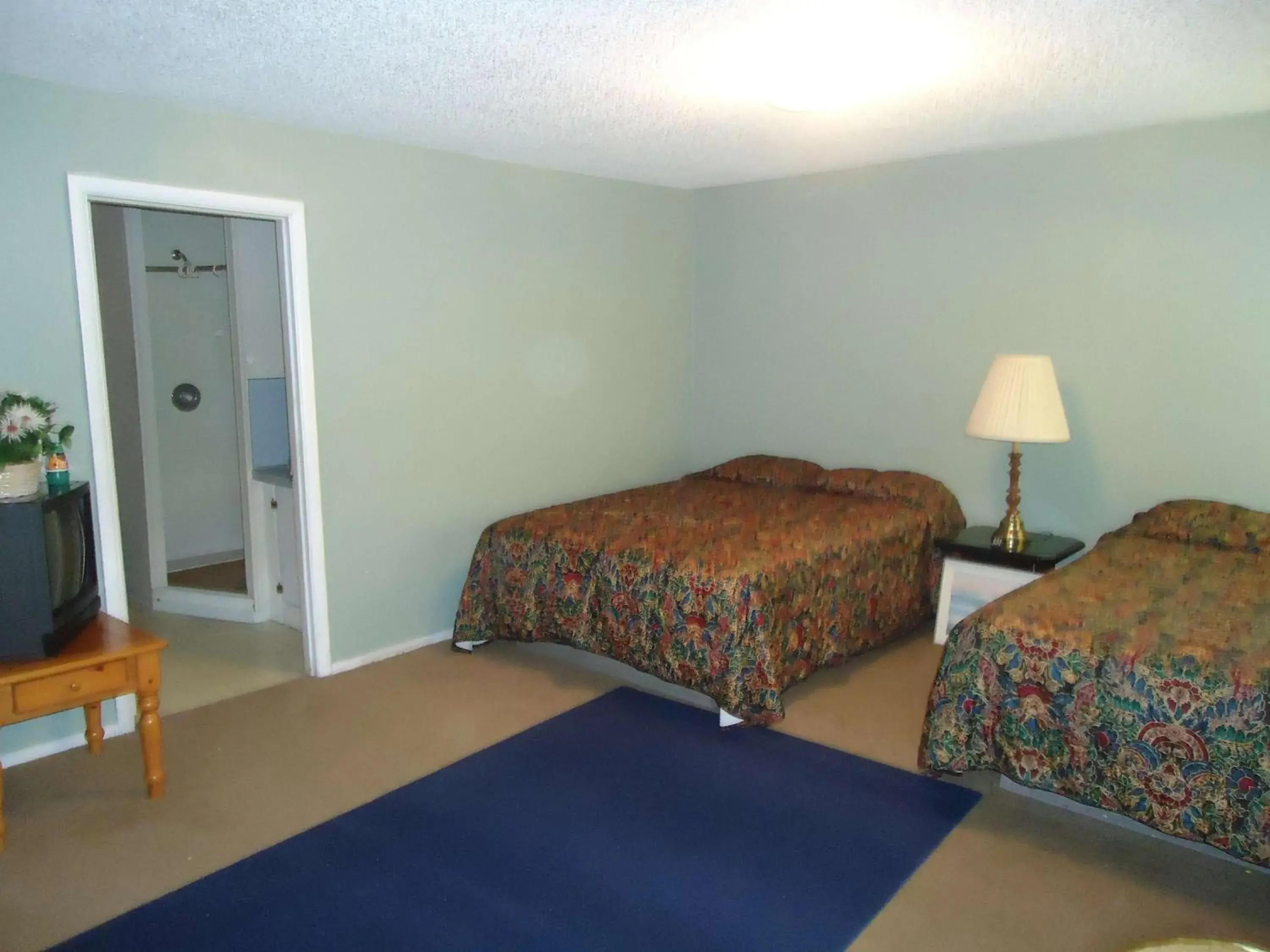 Photo of the whole room in Blue Mountain Motel