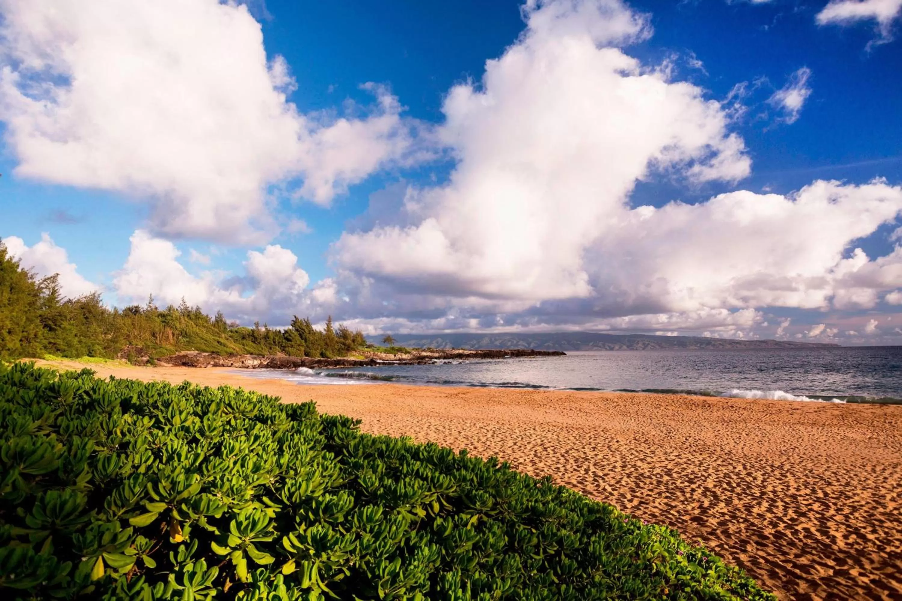 Beach in The Ritz-Carlton Maui, Kapalua