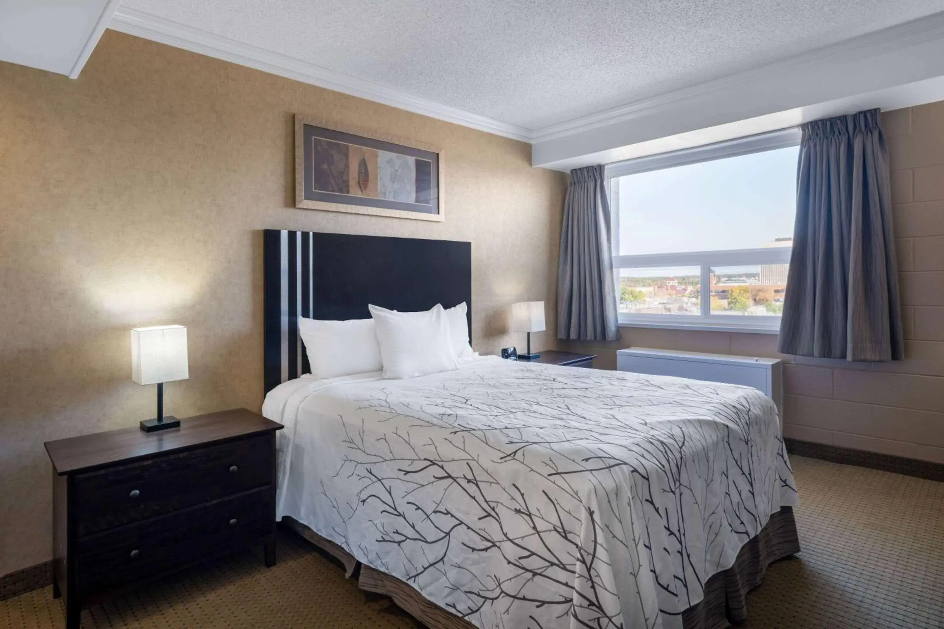 Photo of the whole room, Bed in Travelodge by Wyndham Prince Albert Photo of the whole room, Bed in Travelodge by Wyndham Prince Albert