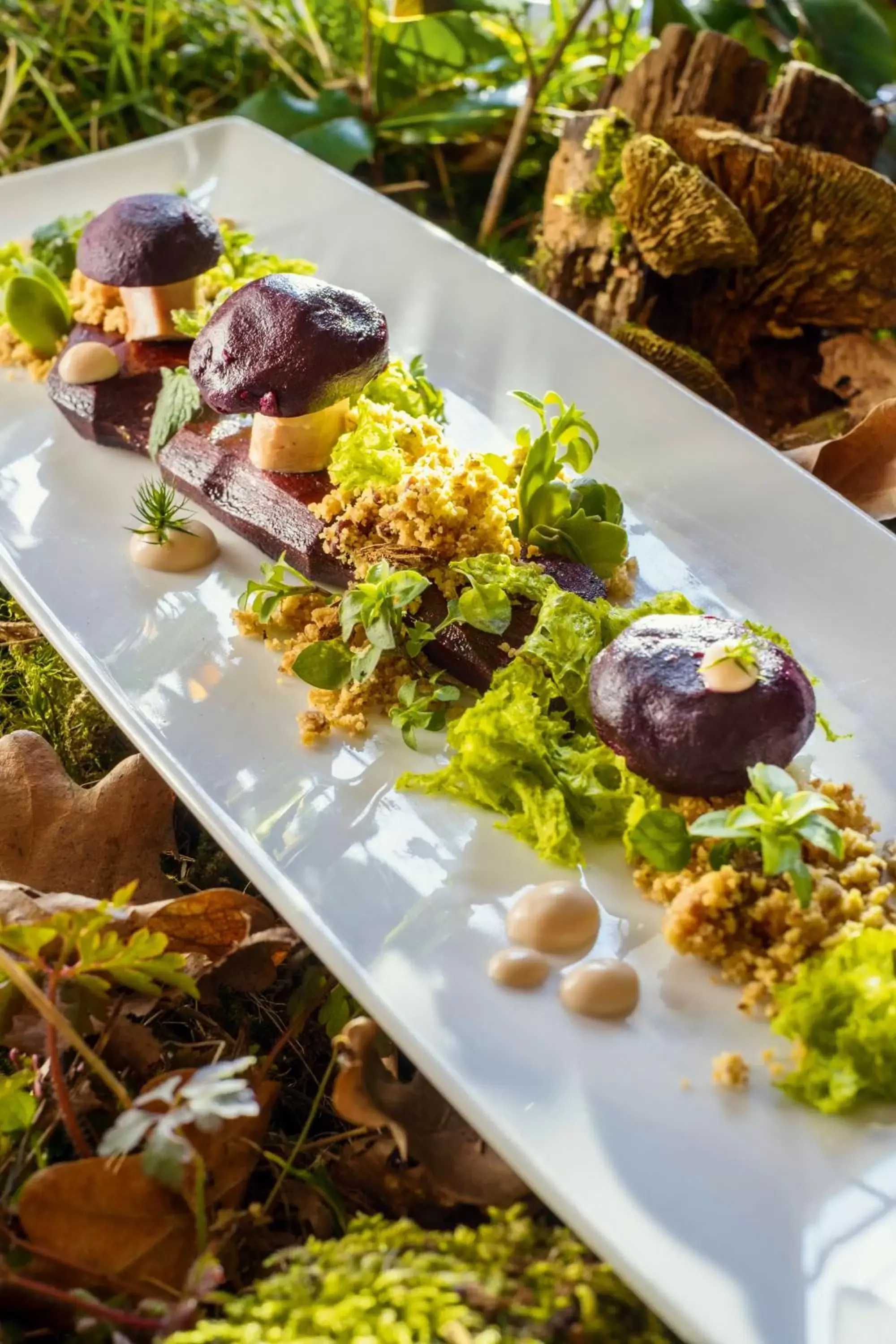 Food close-up, Food in Schloss Hotel Dresden Pillnitz