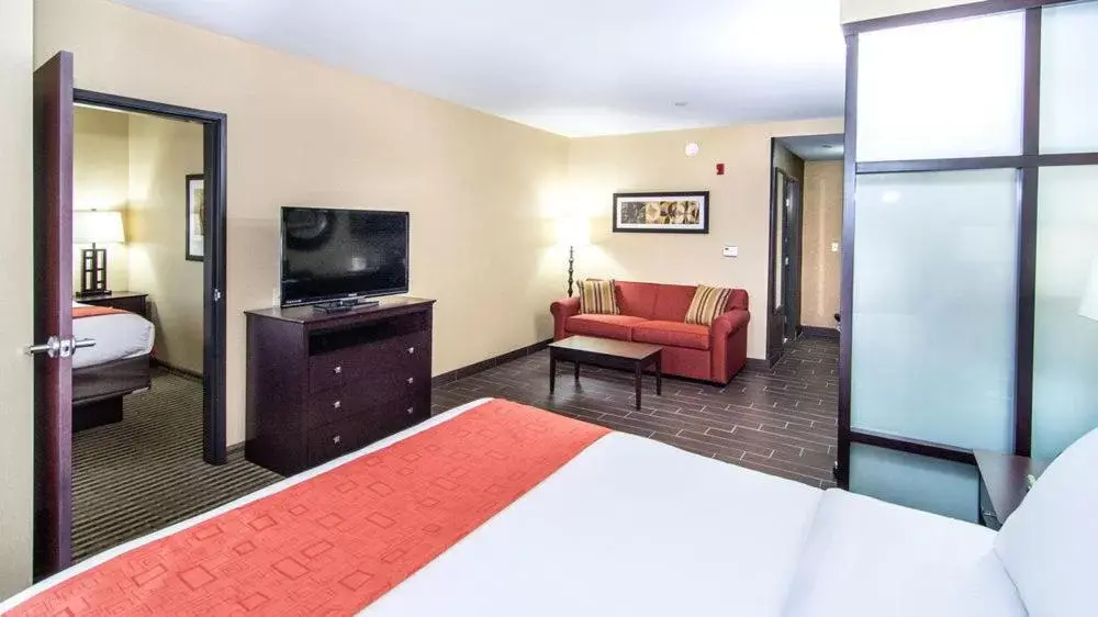 Bed, TV/Entertainment Center in Holiday Inn Express & Suites Elkton - University Area, an IHG Hotel
