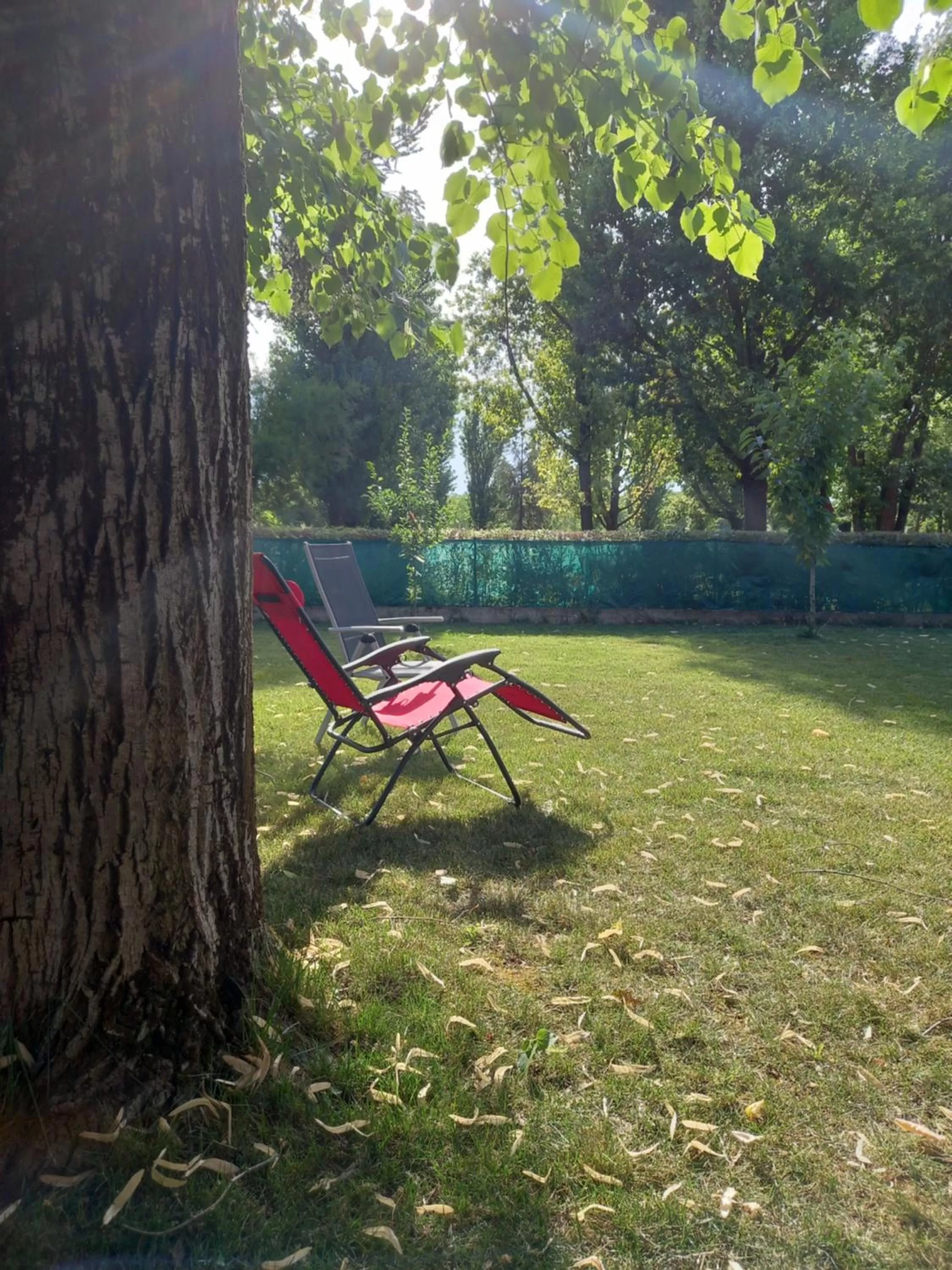 Day, Garden in B&B KM 198 - Room&Breakfast