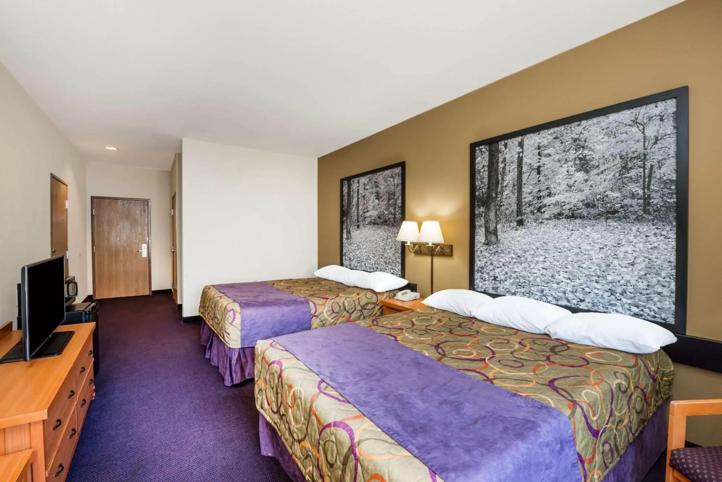 Photo of the whole room, Bed in Super 8 by Wyndham Columbia East