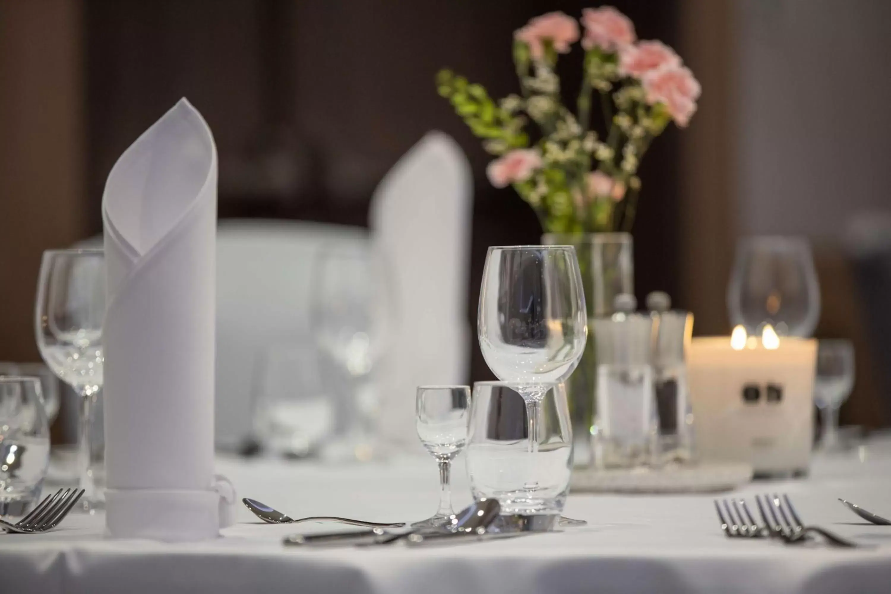 Banquet/Function facilities, Restaurant/Places to Eat in Radisson Blu Hotel & Residences