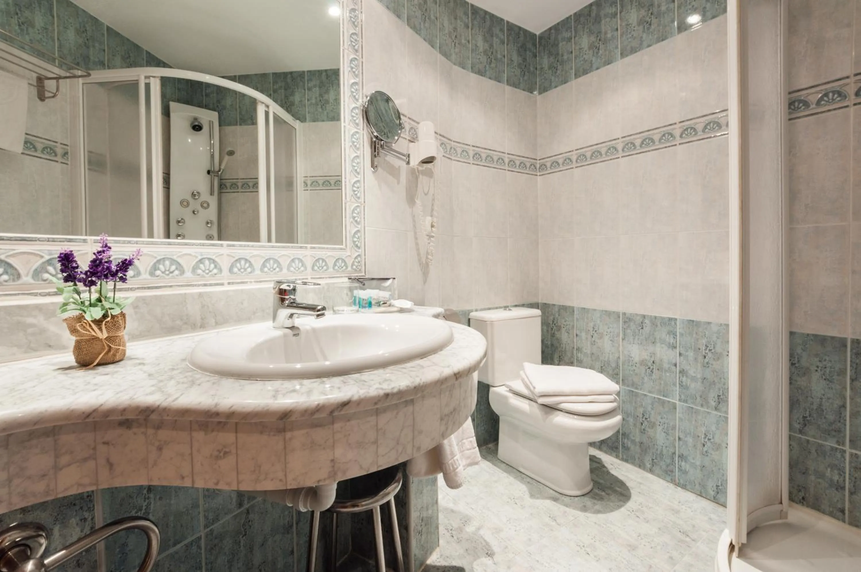 Bathroom in Carlos I Toledo