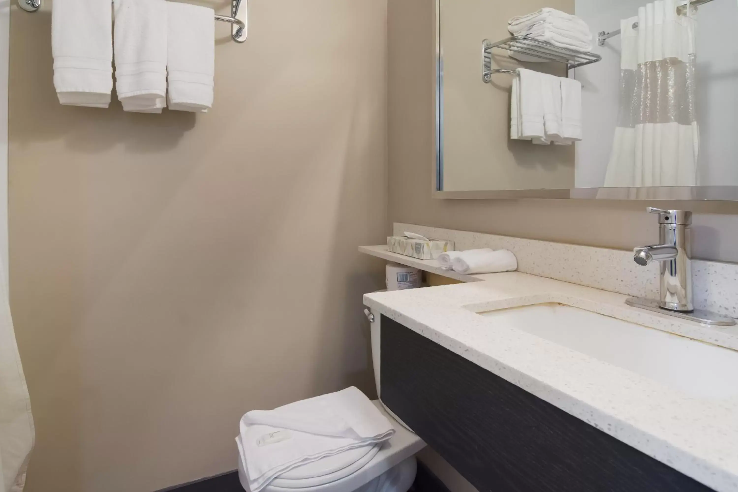 Bathroom in Canadas Best Value Inn & Suites Kamloops