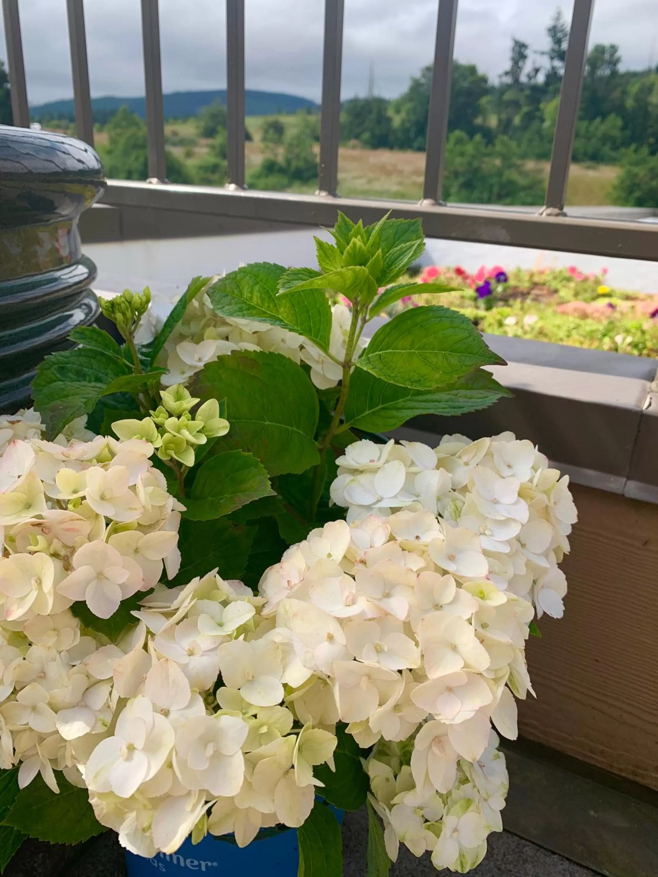 Patio in Holiday Inn Express Hotel & Suites North Sequim by IHG