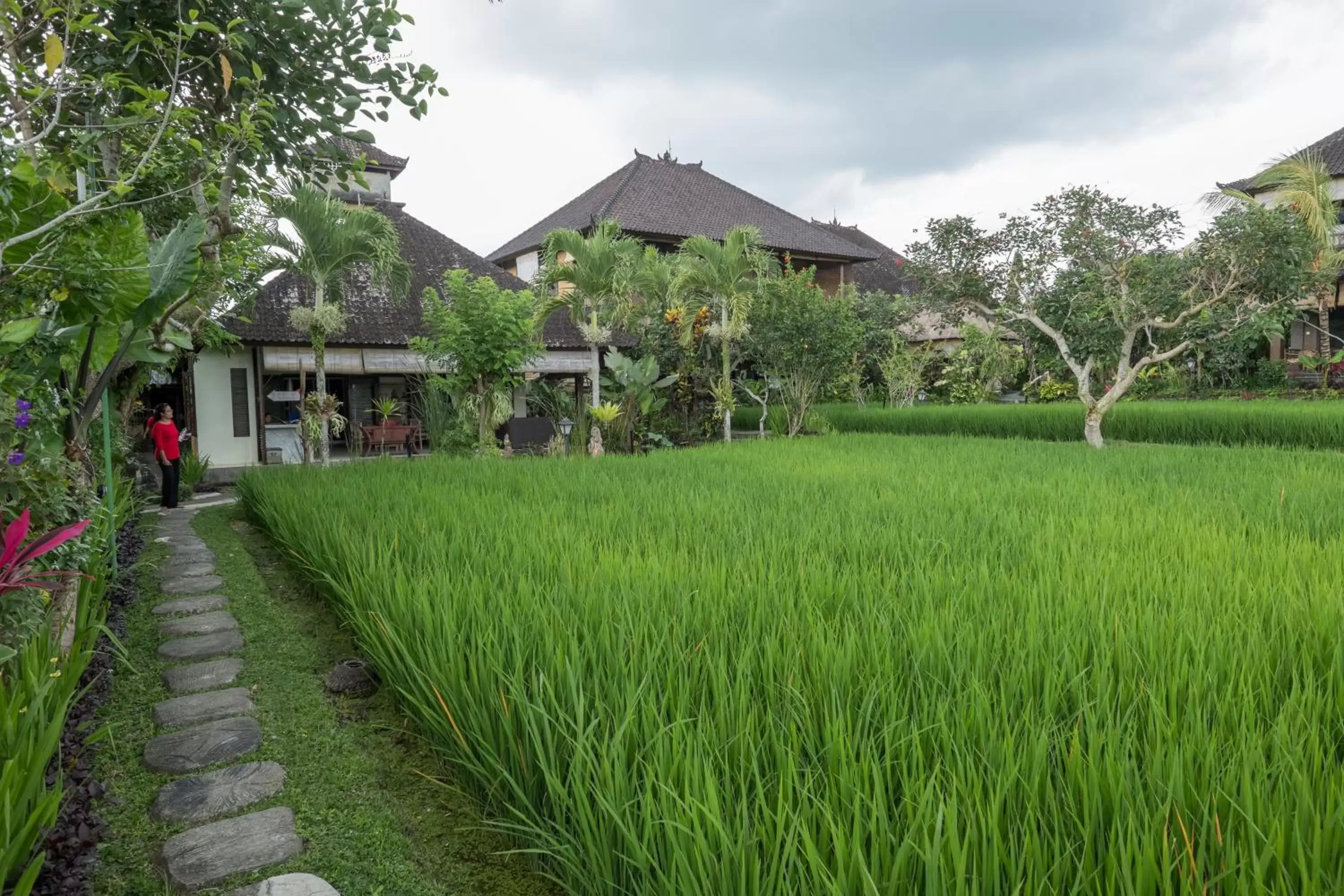 Garden, Property Building in Bliss Ubud Spa Resort