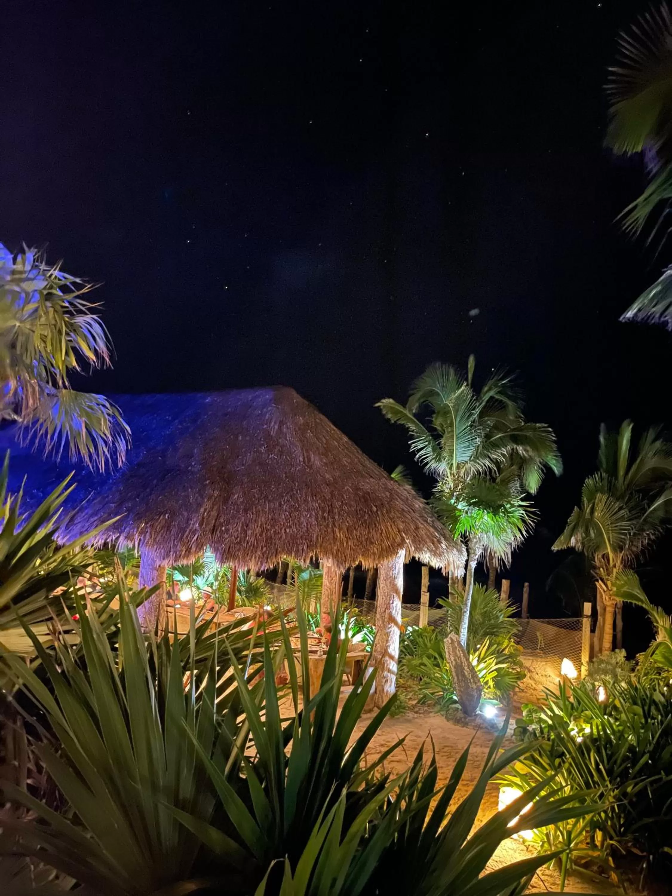 Restaurant/places to eat in Sueños Tulum