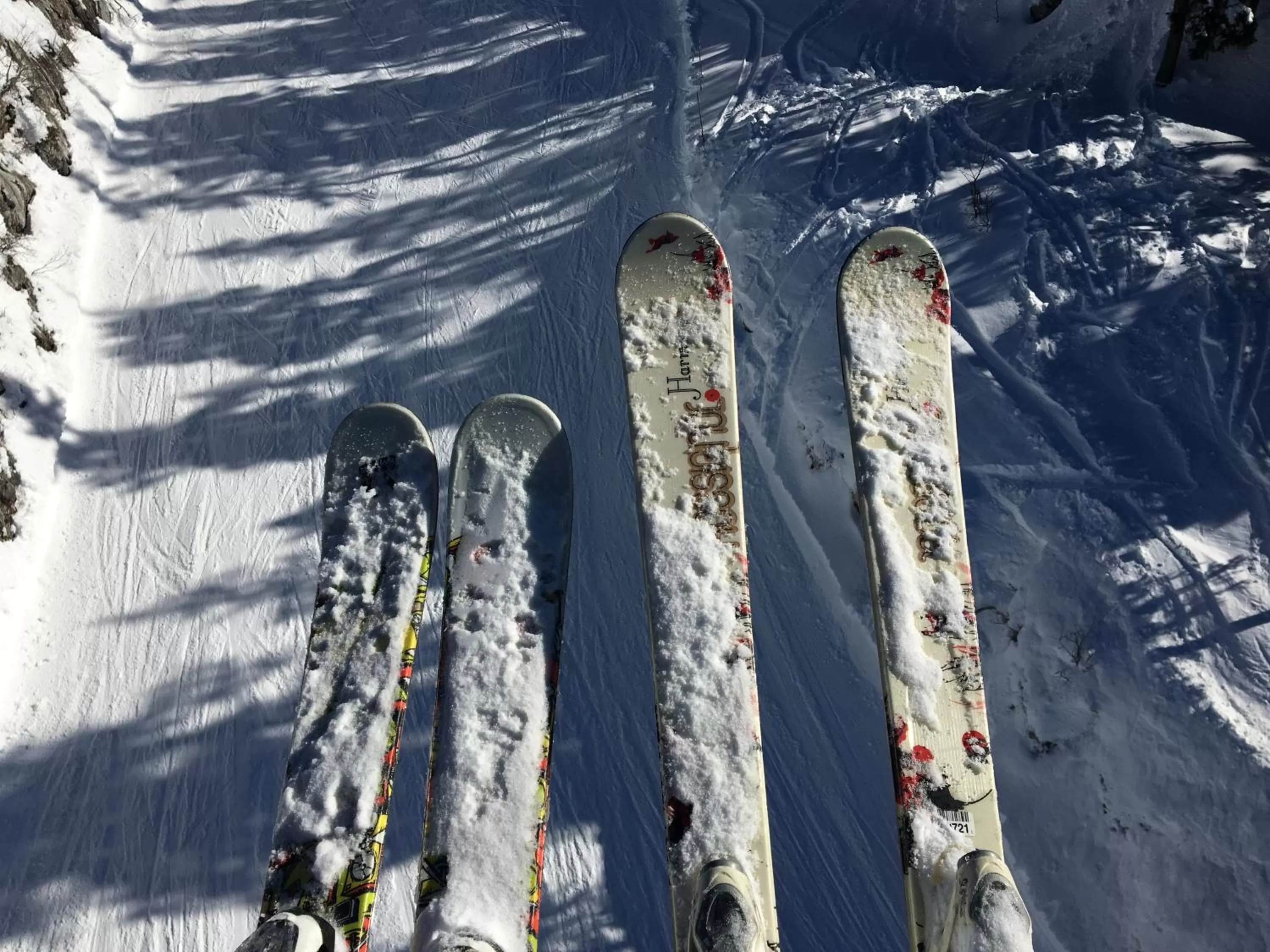 Ski School in Hôtel Le Dauphin