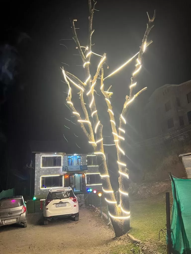 Night in Dreamland Cottage