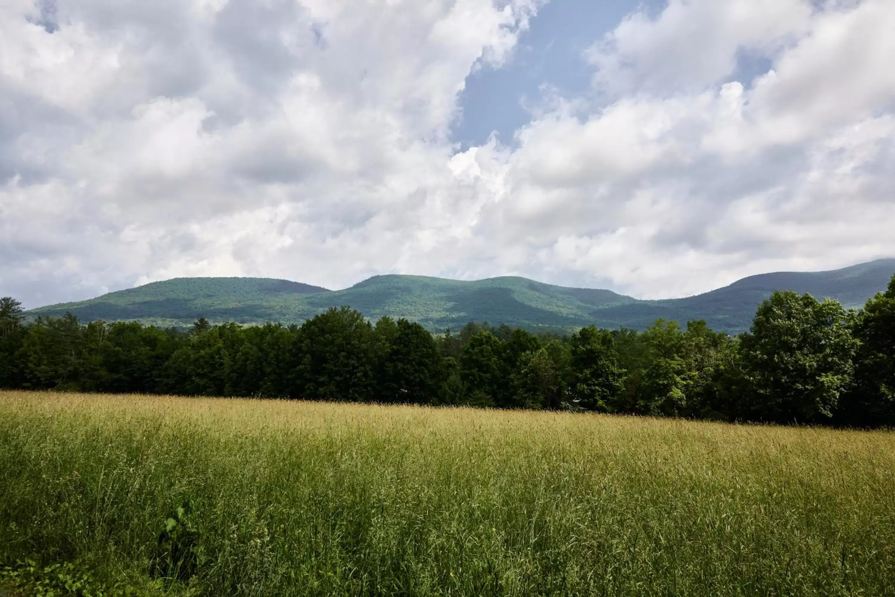 Area and facilities, Natural Landscape in Hunter Lodge, a Bluebird by Lark