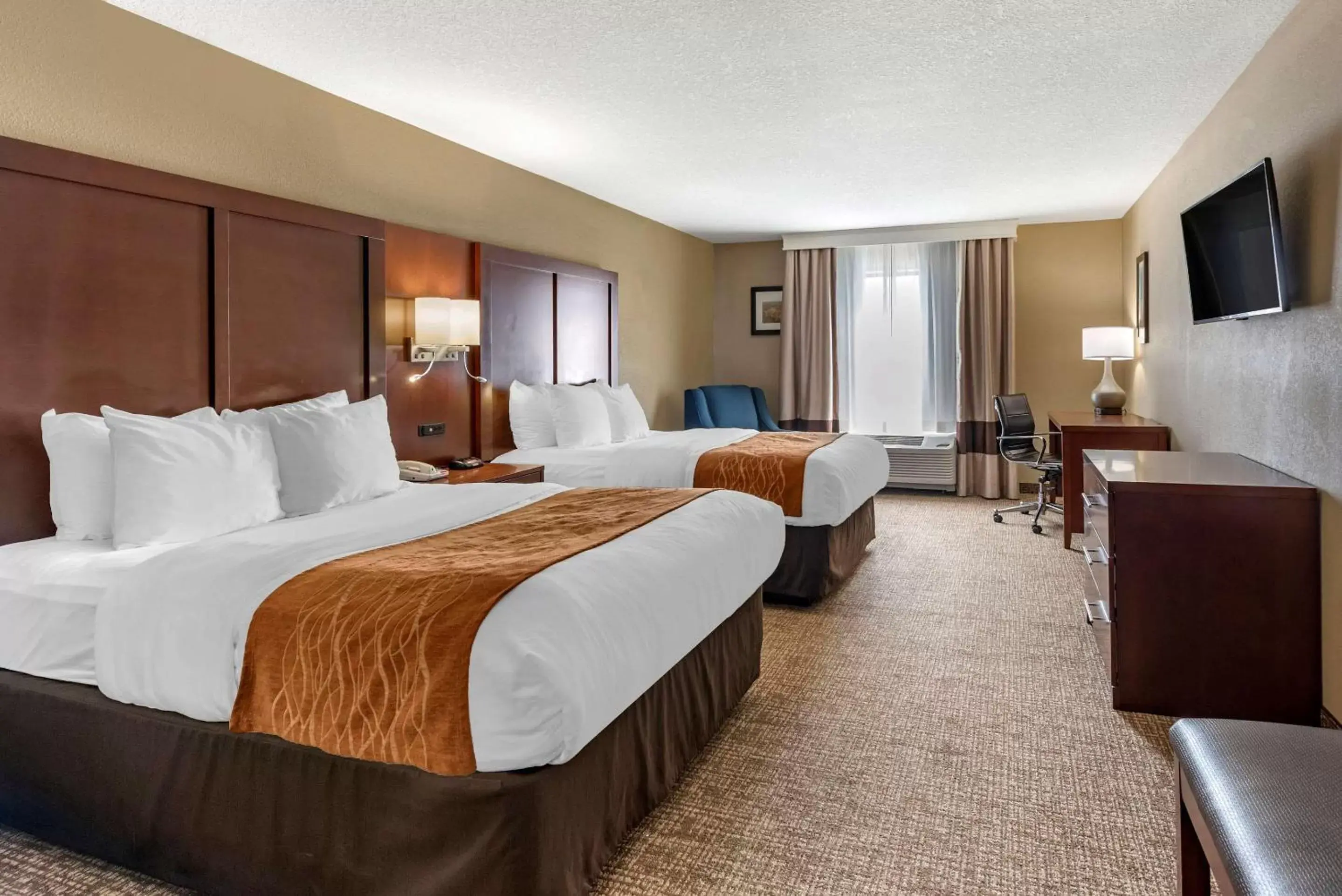 Photo of the whole room in Comfort Inn & Suites Muncie