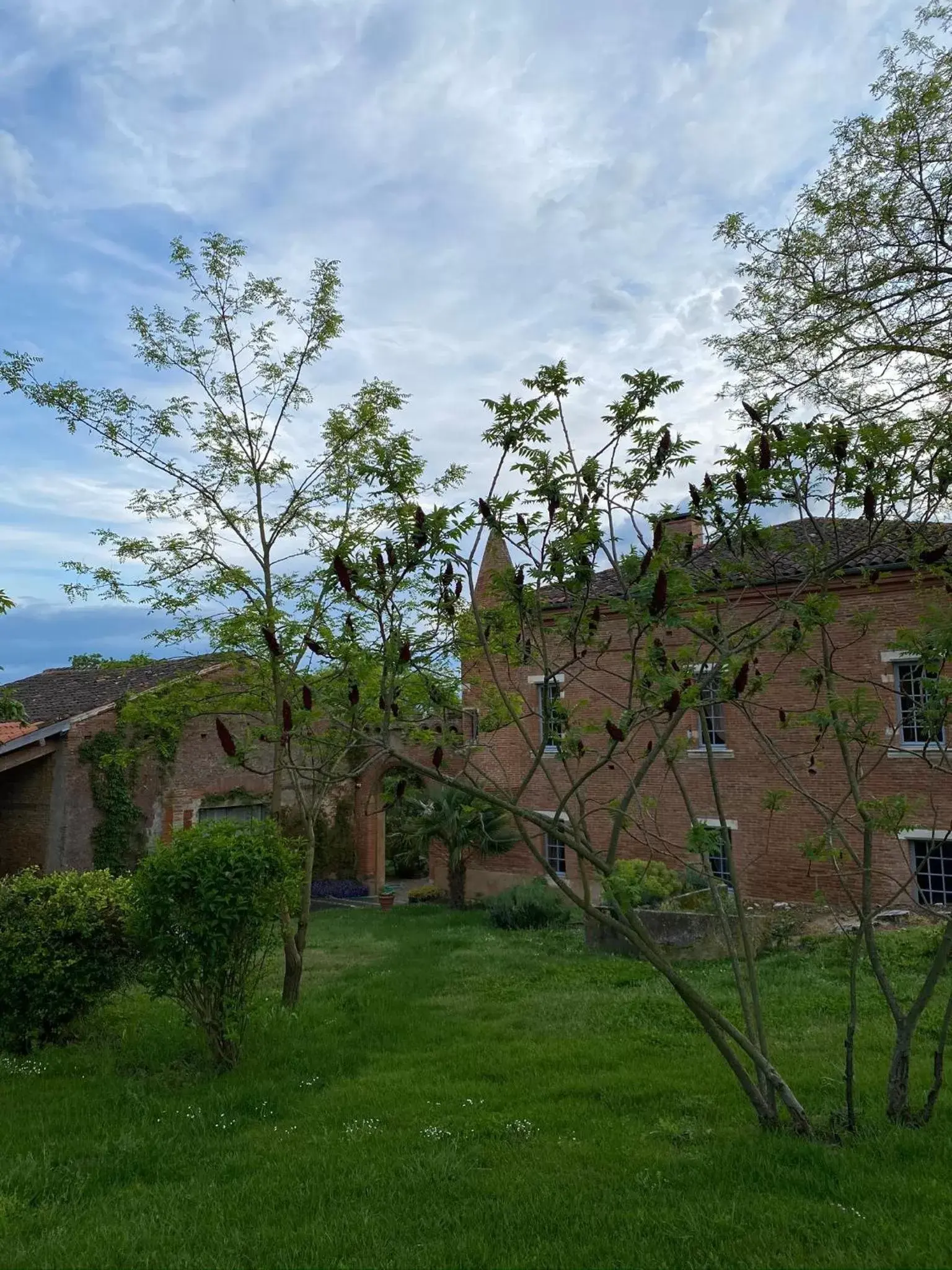 Garden, Property Building in Manoir du Bouyssou