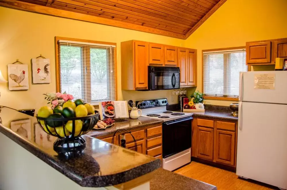 Kitchen or kitchenette, Kitchen/Kitchenette in Asheville Cabins of Willow Winds