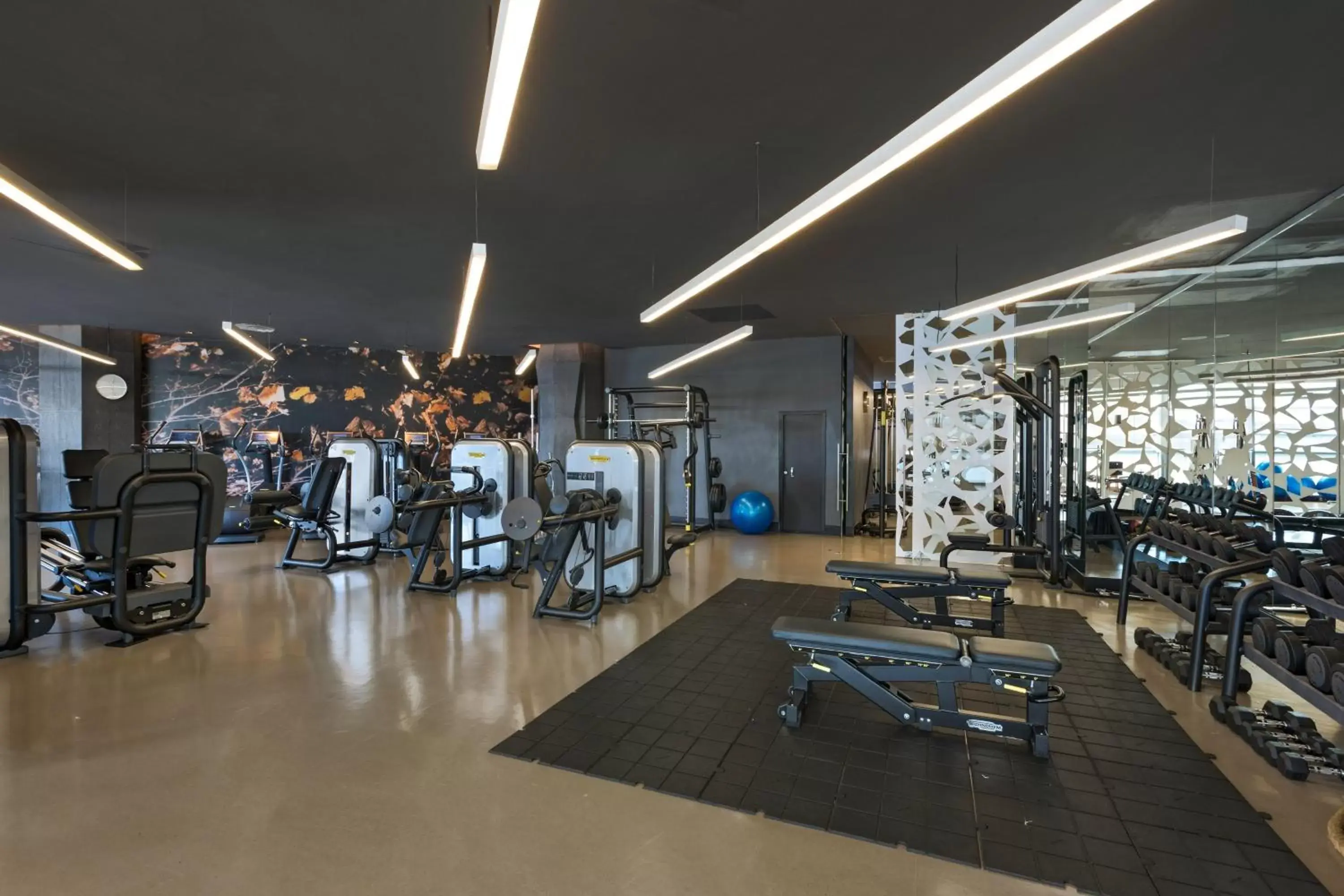 Fitness centre/facilities, Fitness Center/Facilities in W Bogota